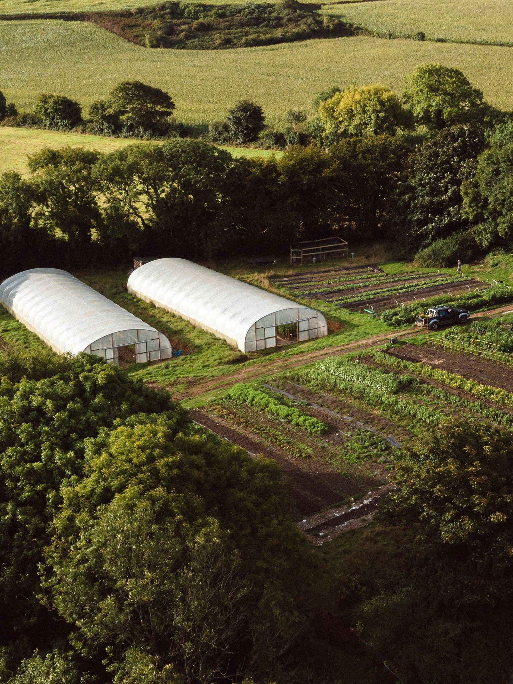 Insta-favourite florists Petalon give us a rundown of what’s trending in florals this year