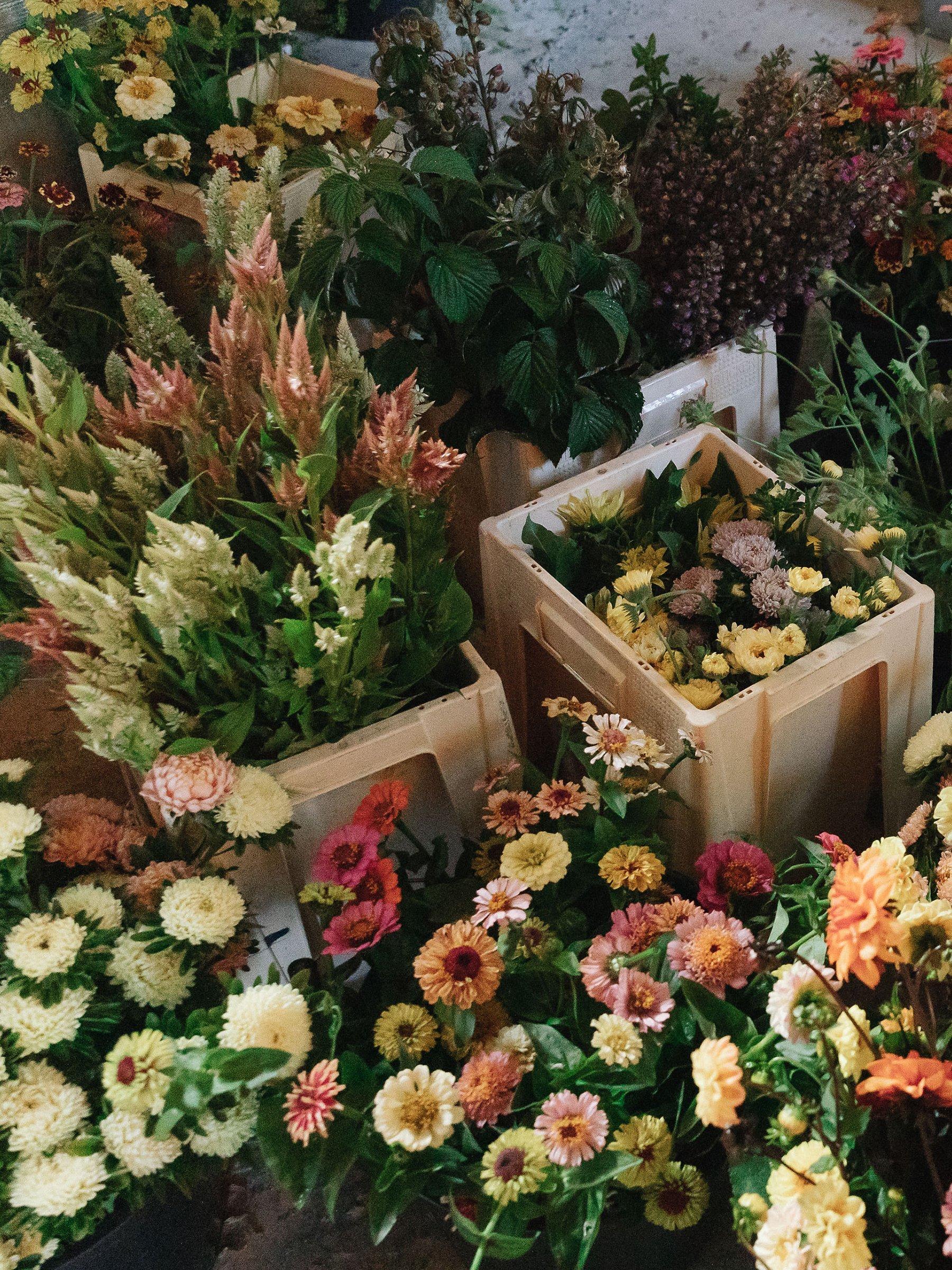 Insta-favourite florists Petalon give us a rundown of what’s trending in florals this year