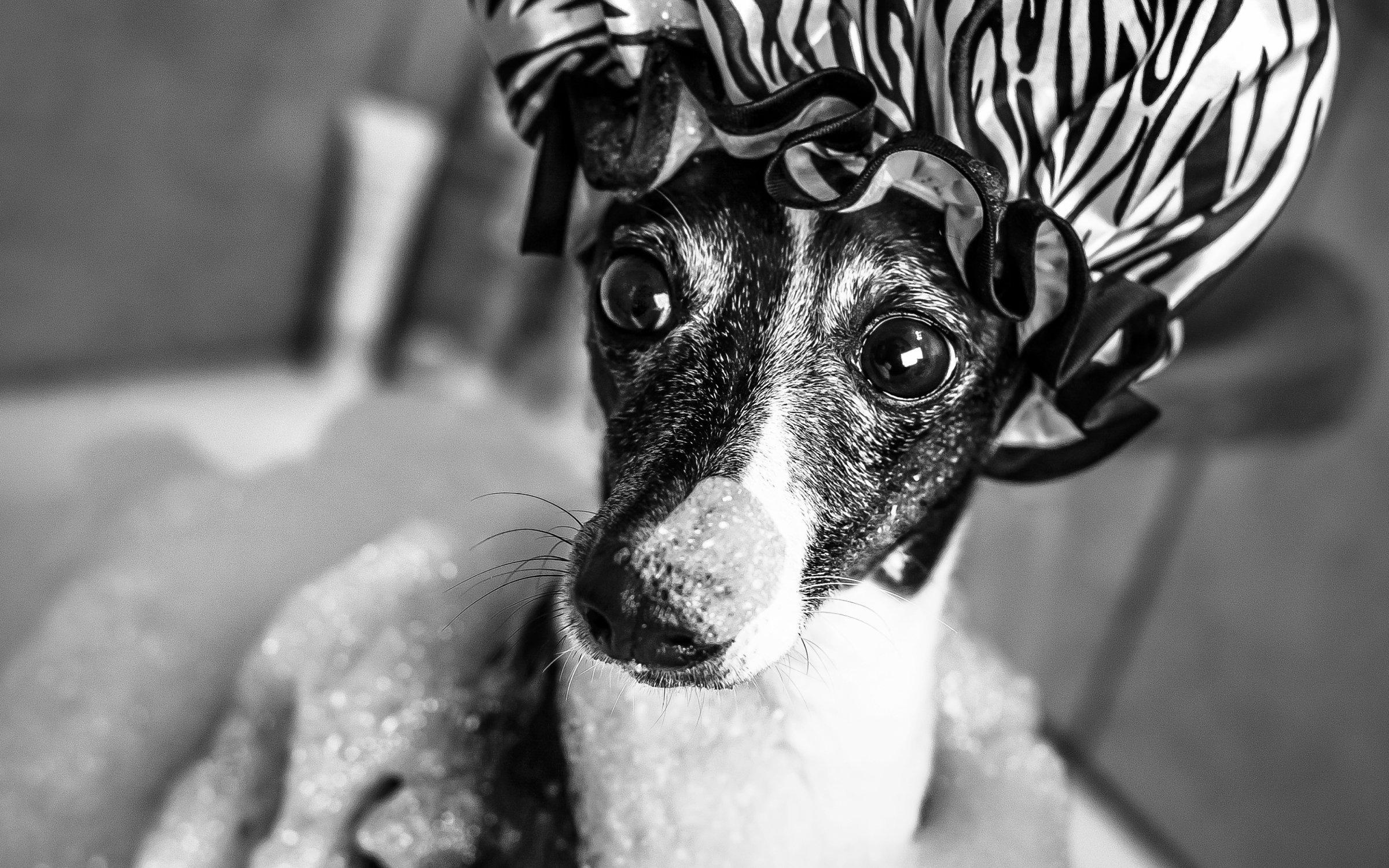 An ode to bathing