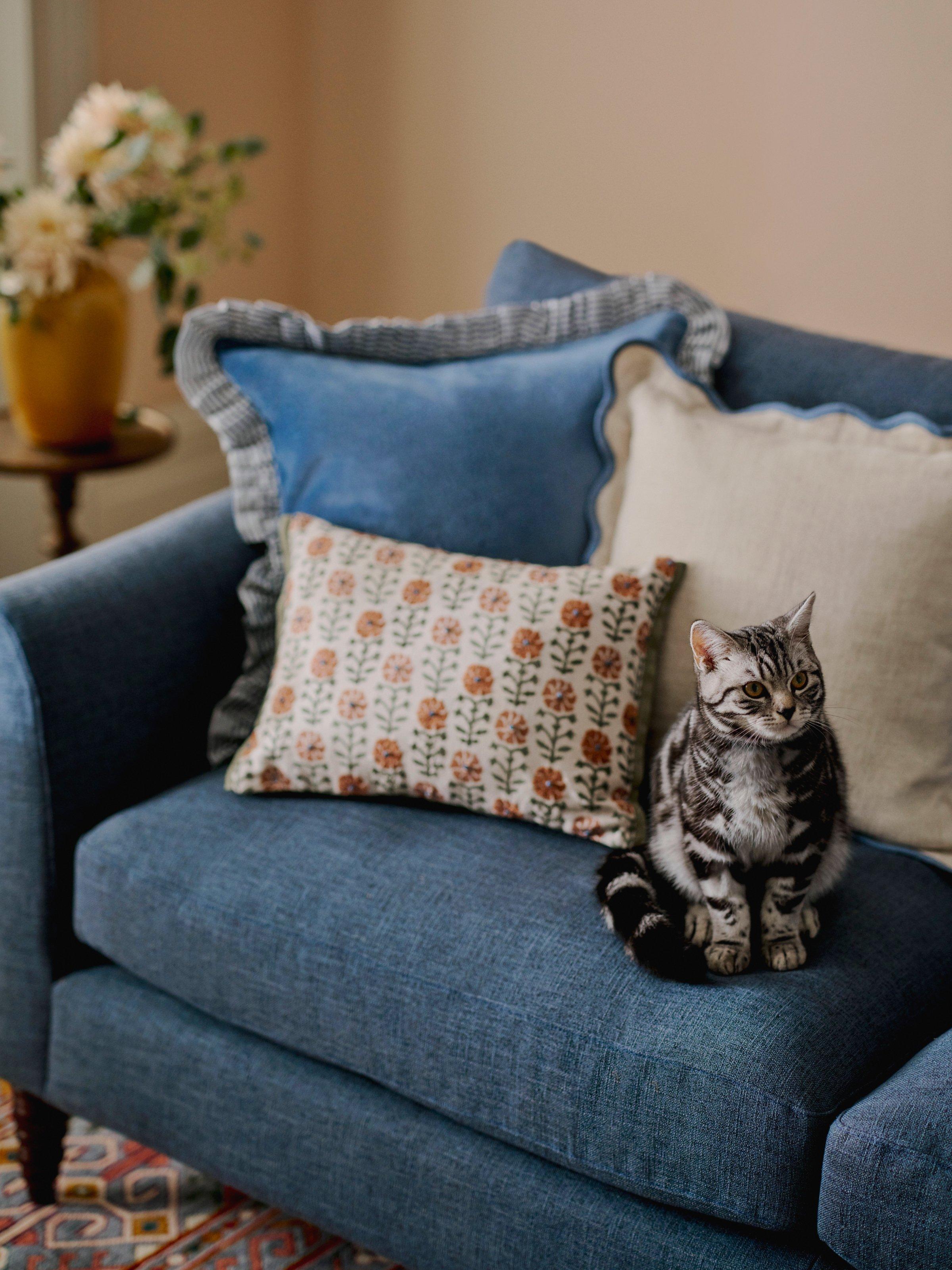 John Lewis Velvet Frill Cushion, Blue