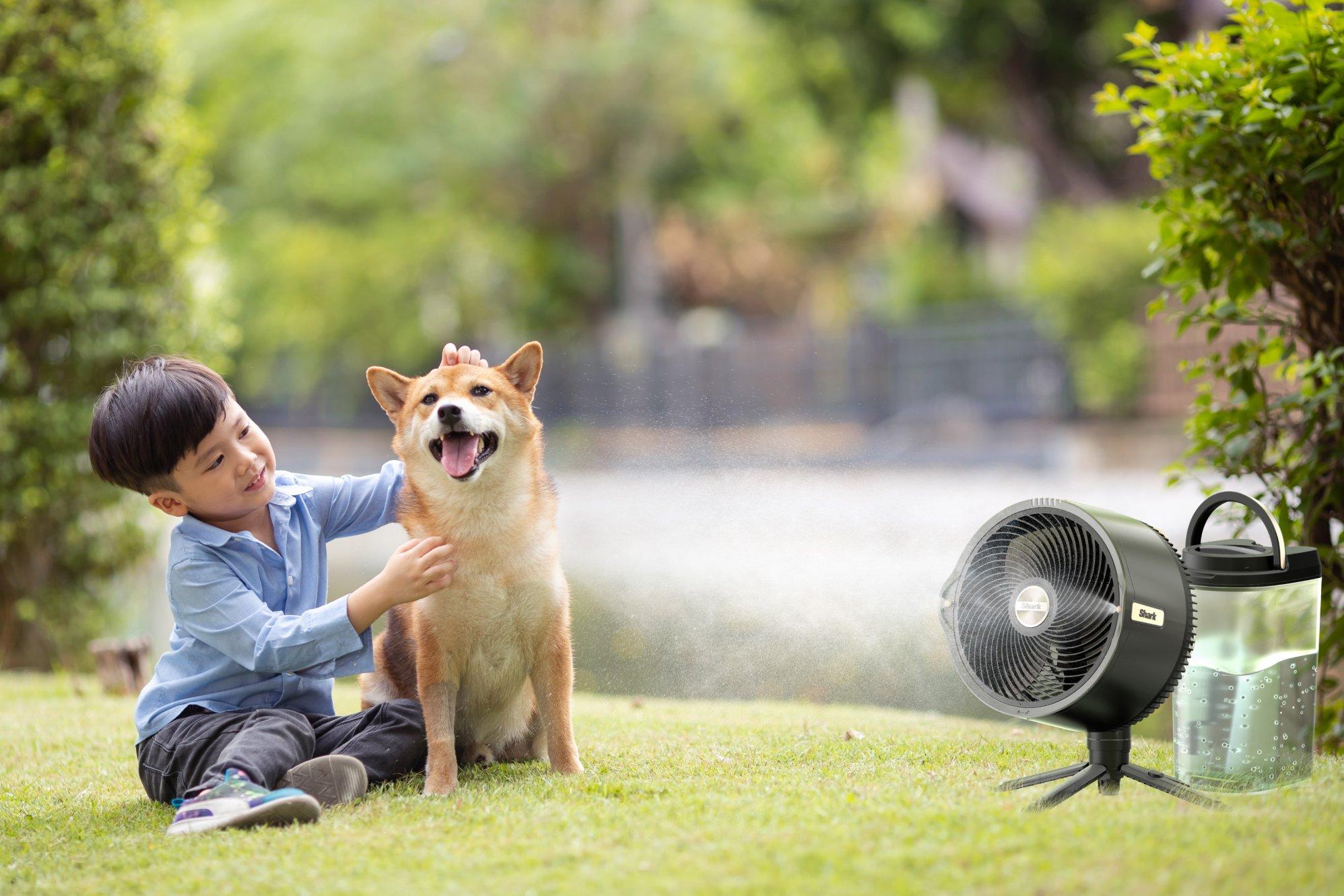 A dog and a boy on the grass with the Shark FlexBreeze Pro Mist Fan