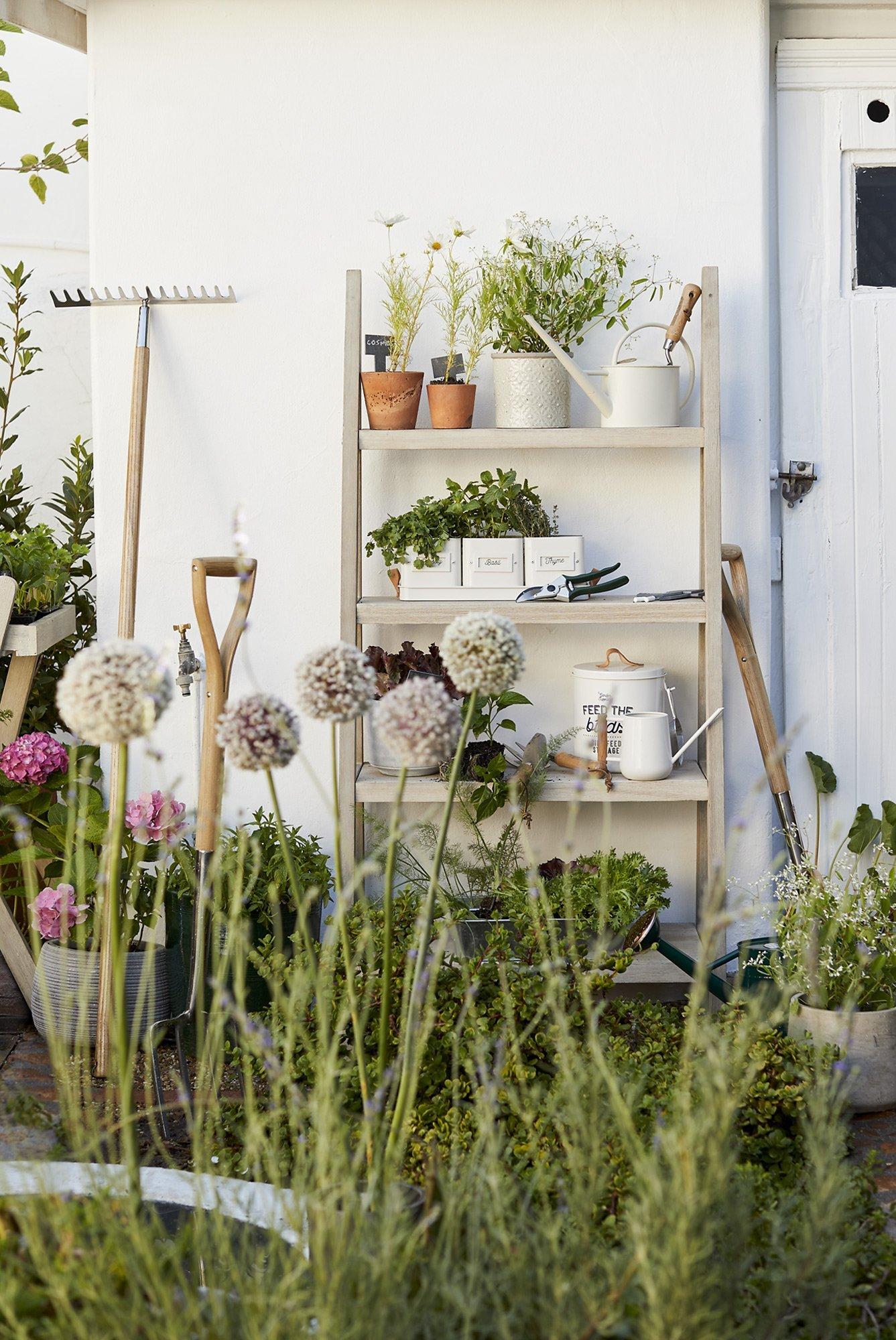Burgon & Ball Enamel Succulent Indoor Watering Can, Cream, FSC-Certified (Beech Wood)