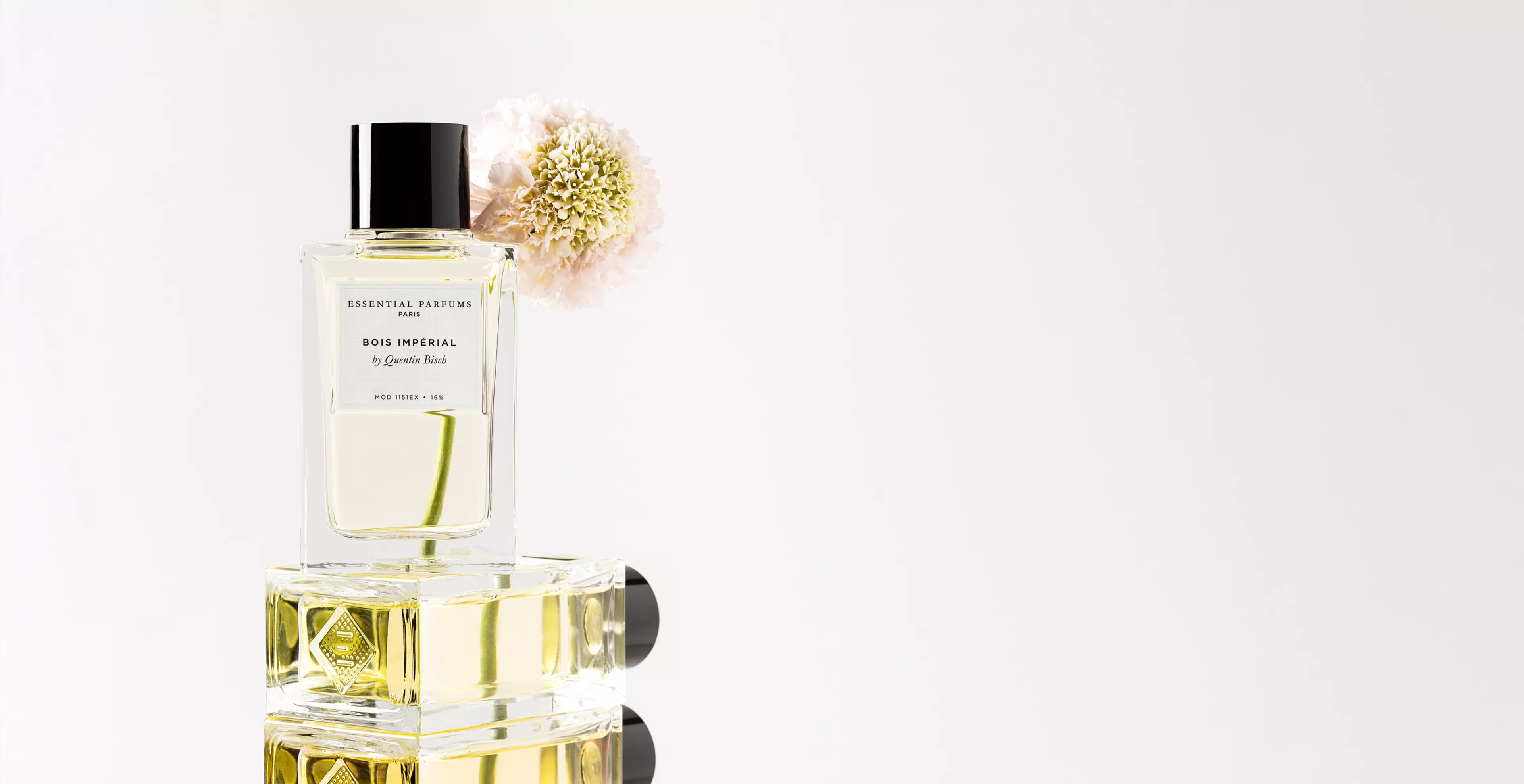 A wooden and leather chair by a window, partially covered by a white curtain.