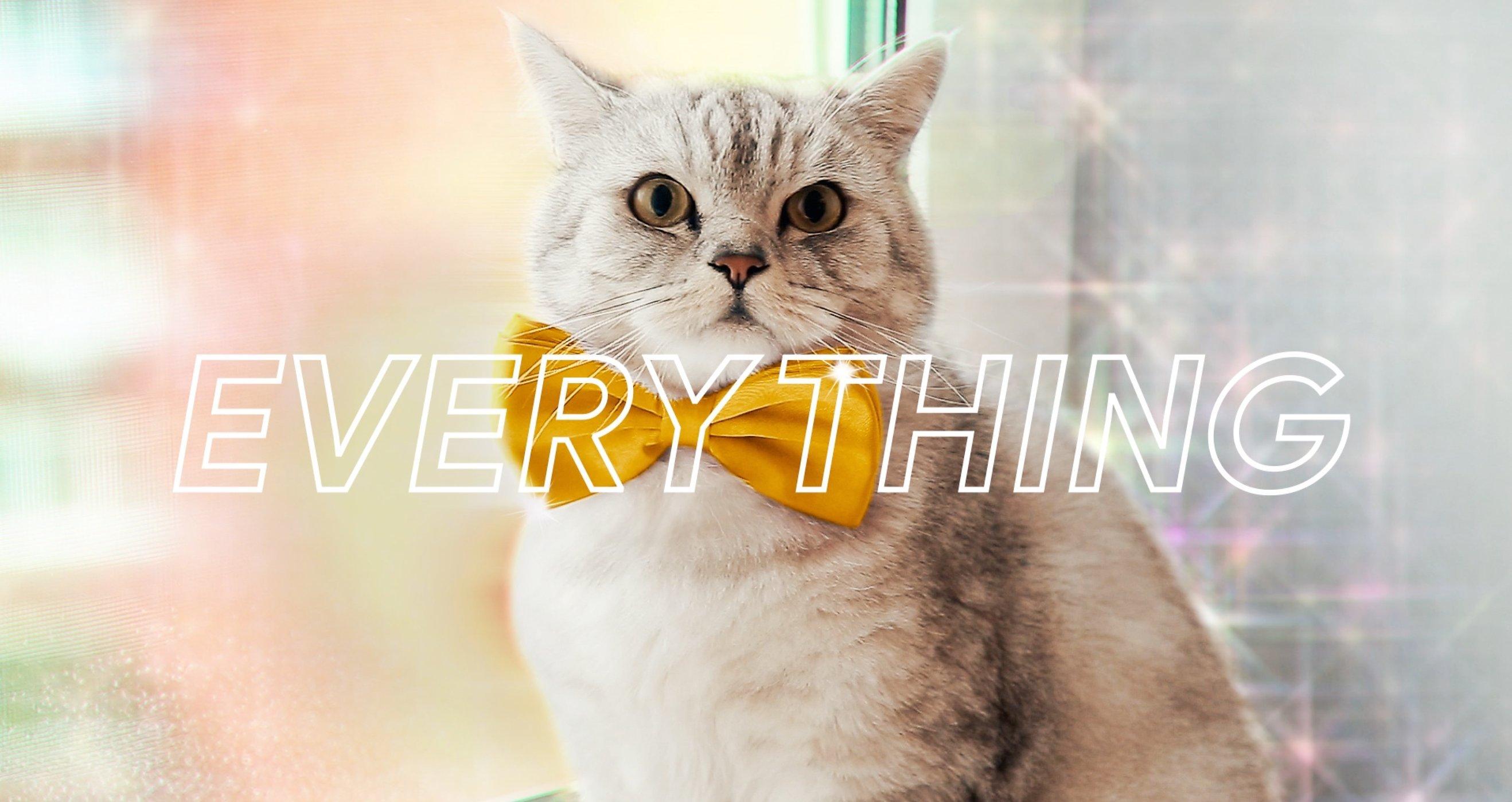 The Everything Button by Google