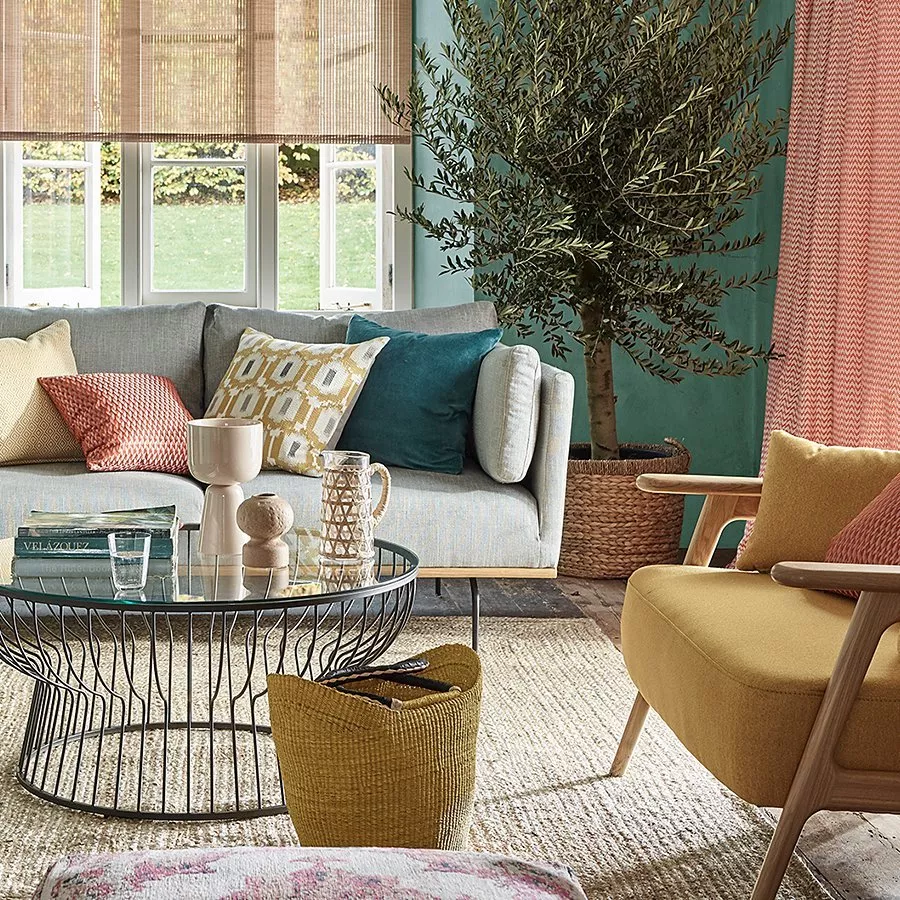Cosy living room with a grey sofa, colourful cushions, a glass coffee table, and a potted olive tree by the window.