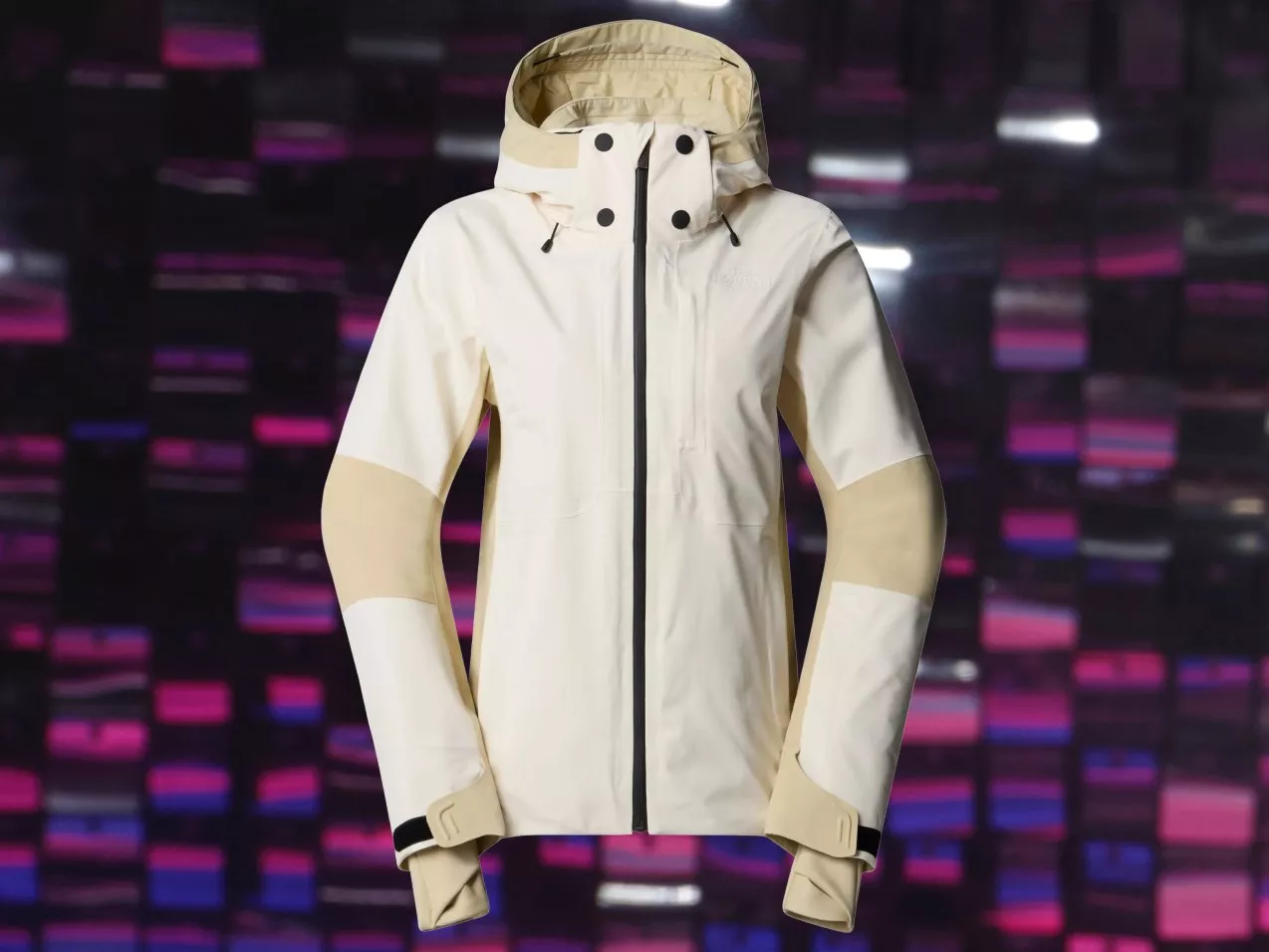 The North Face Lenado Waterproof Ski Jacket