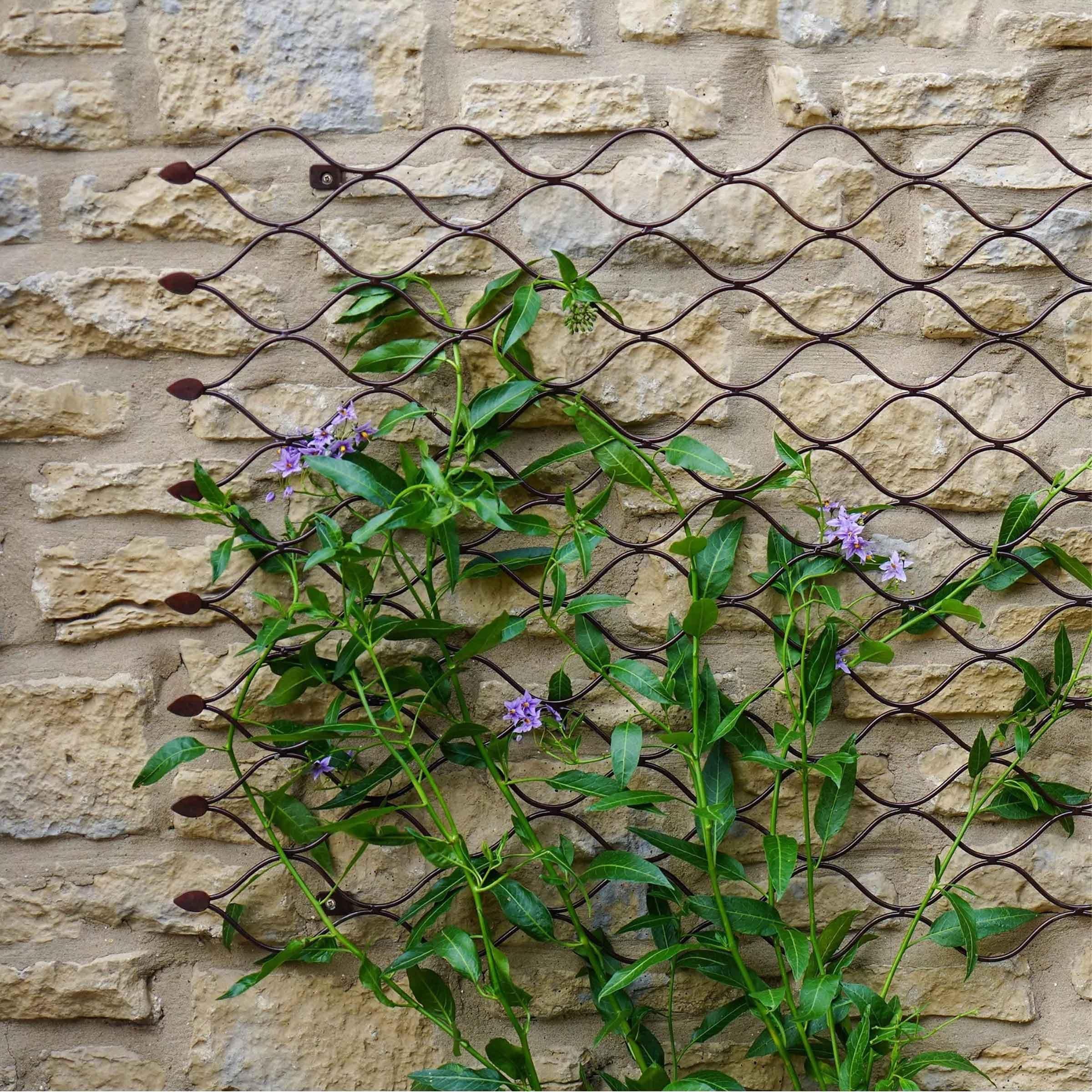 Honeycomb Garden Wall Trellis