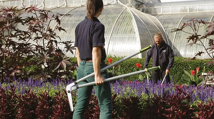 Gardeners using long-handled loppers in a greenhouse, trimming colourful flower beds and shrubs in sunlight