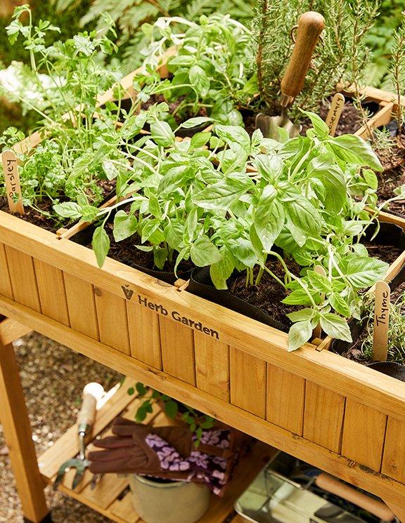 Pots and Planters