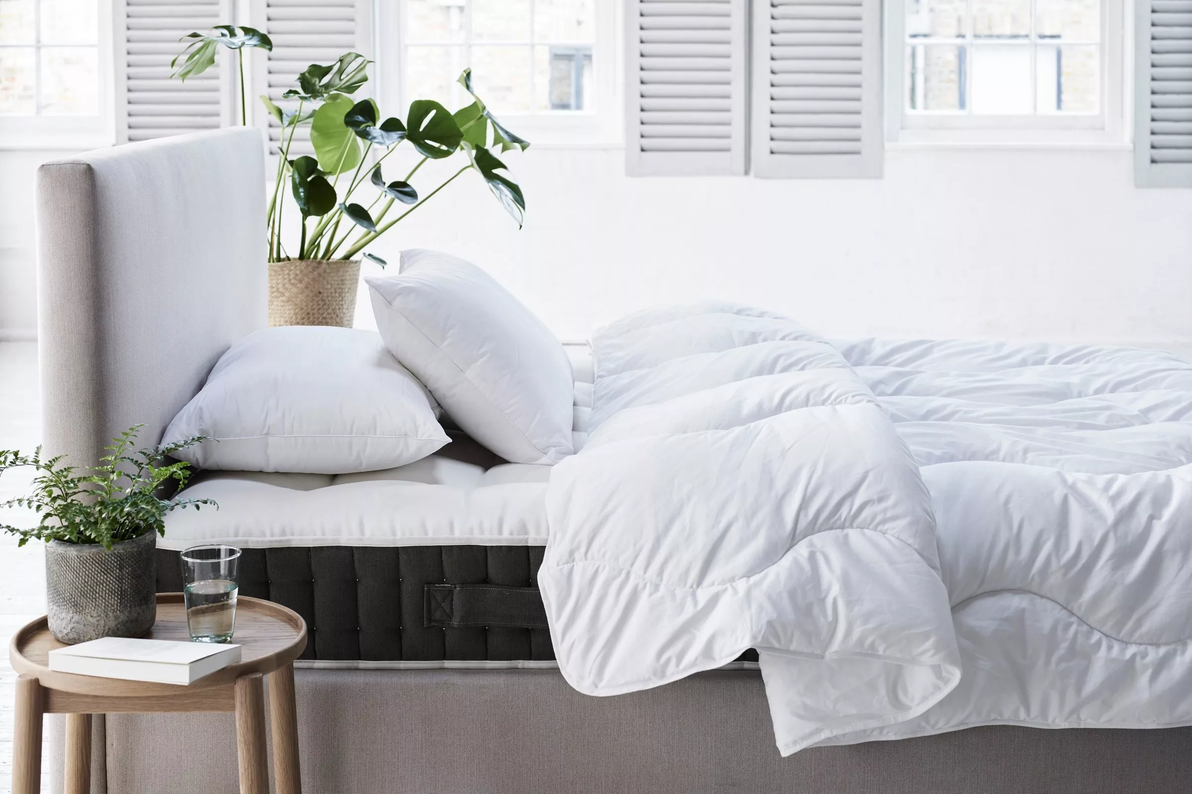 A cosy bedroom features a neatly made bed with white pillows and duvet. Plants add a touch of greenery.
