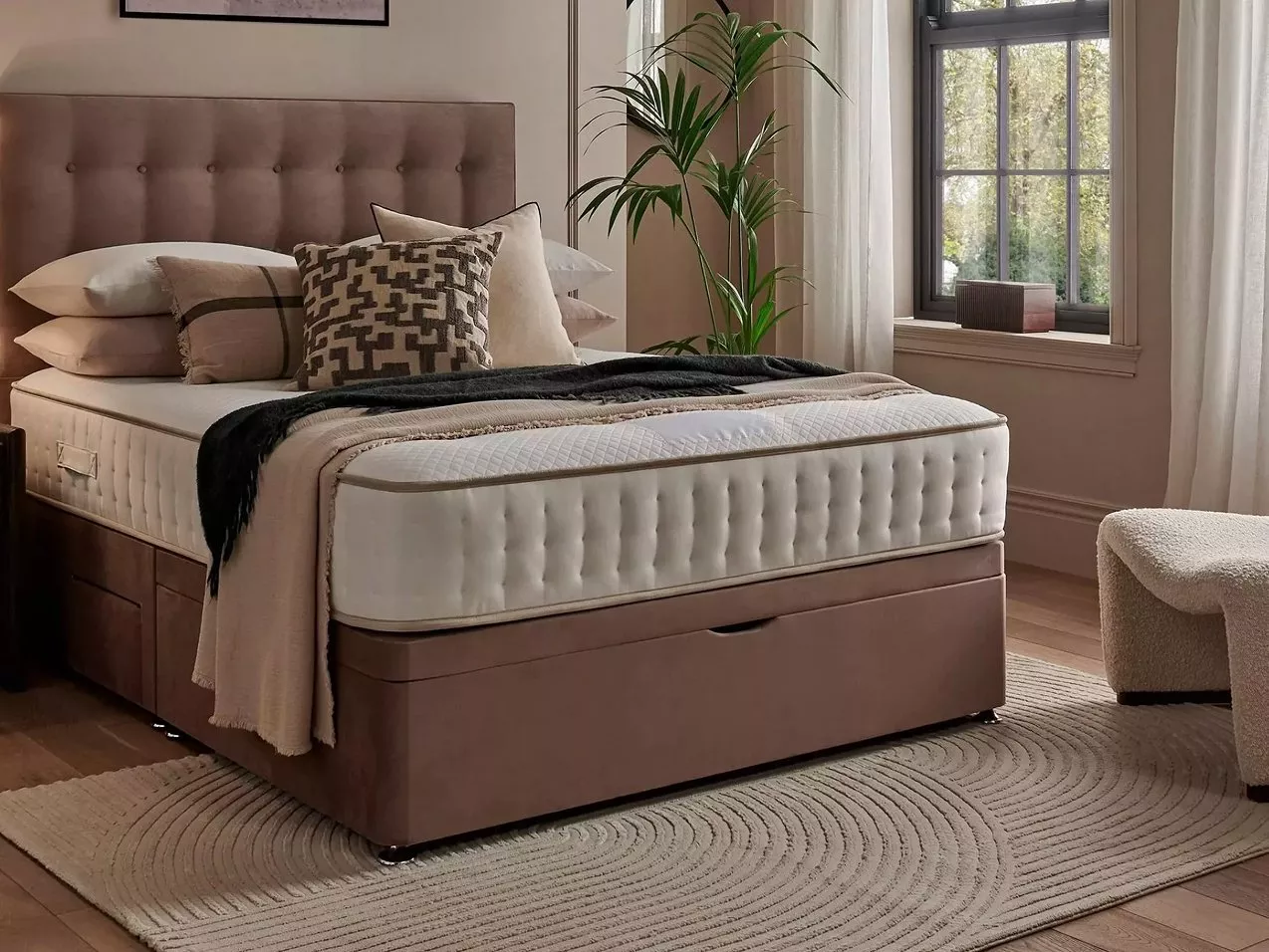 Modern divan bed with plush mattress and upholstered headboard in a stylish bedroom with window and plant