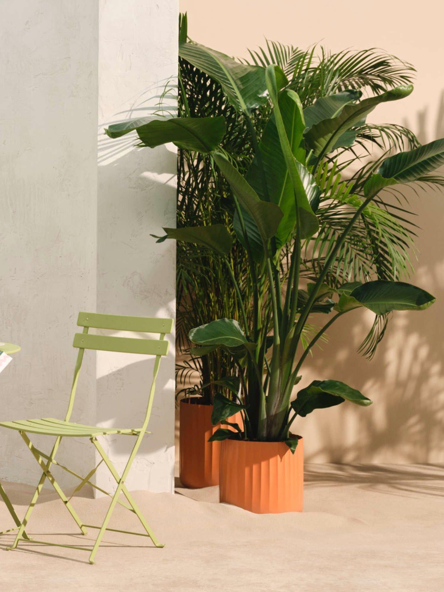 Pots and Planters