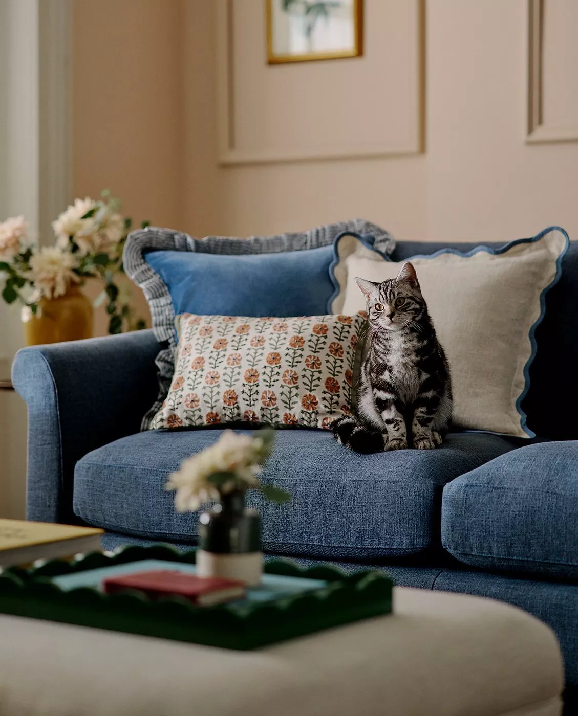 cat sitting on blue sofa with decorative cushions