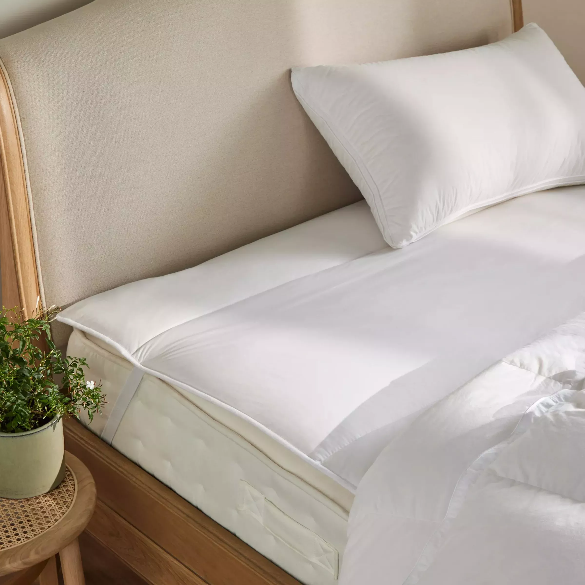 White pillow and mattress topper on upholstered bed, with crisp cotton bedding in a bright bedroom setting
