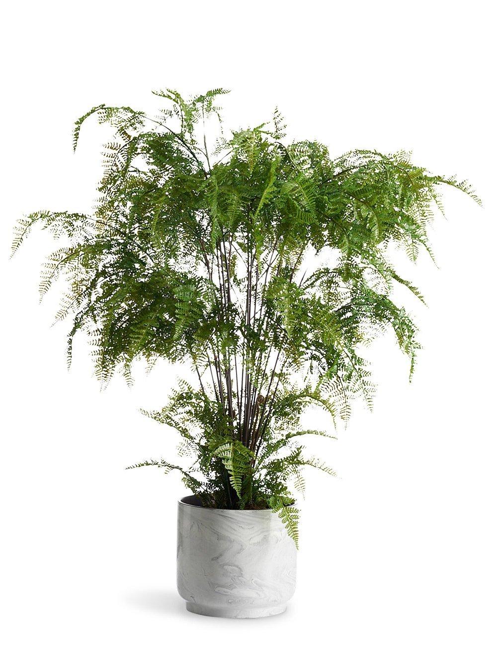 Artificial Flowers & Plants