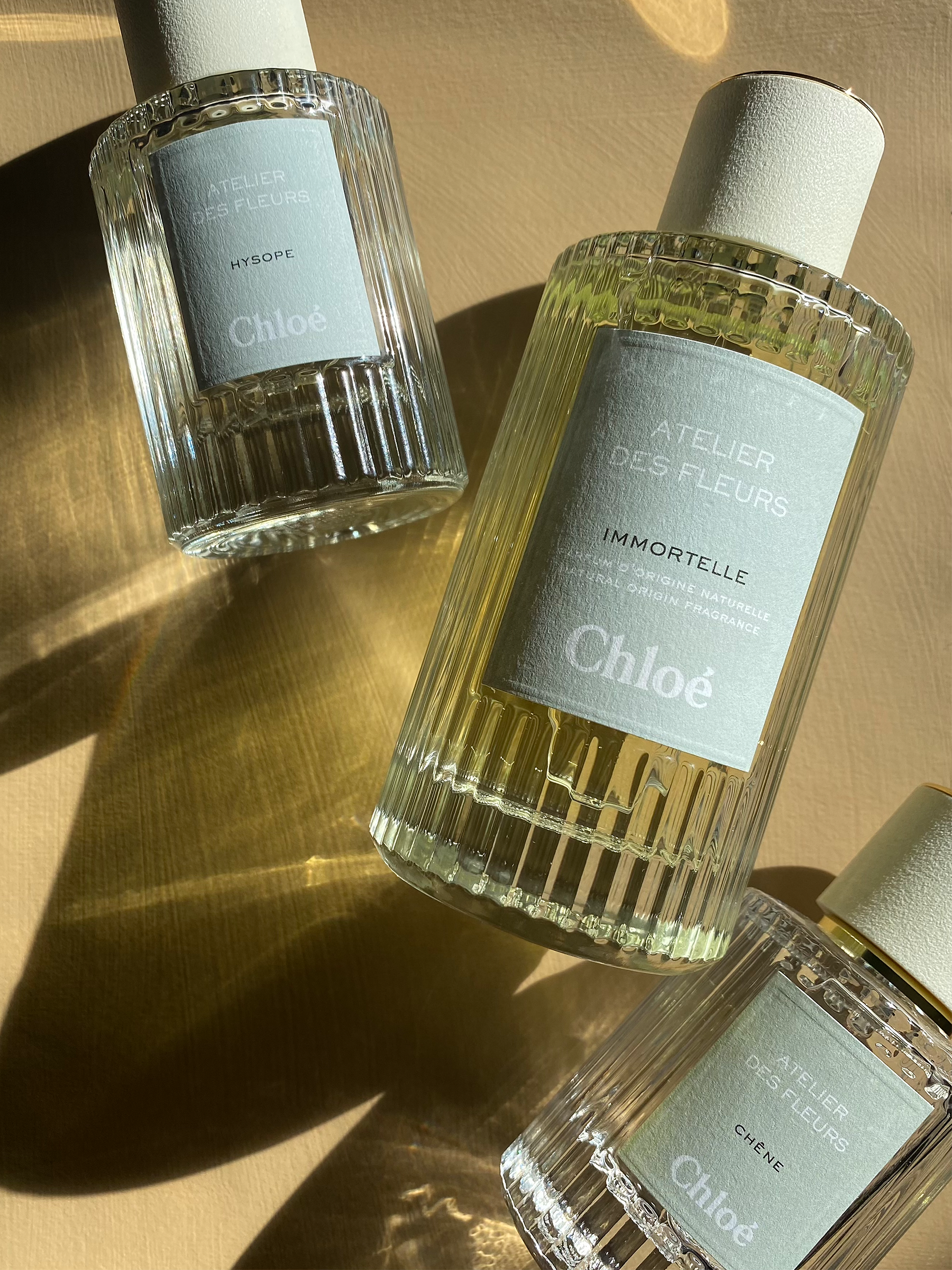 Chloé Atelier des Fleurs Immortelle Eau de Parfum, 50ml