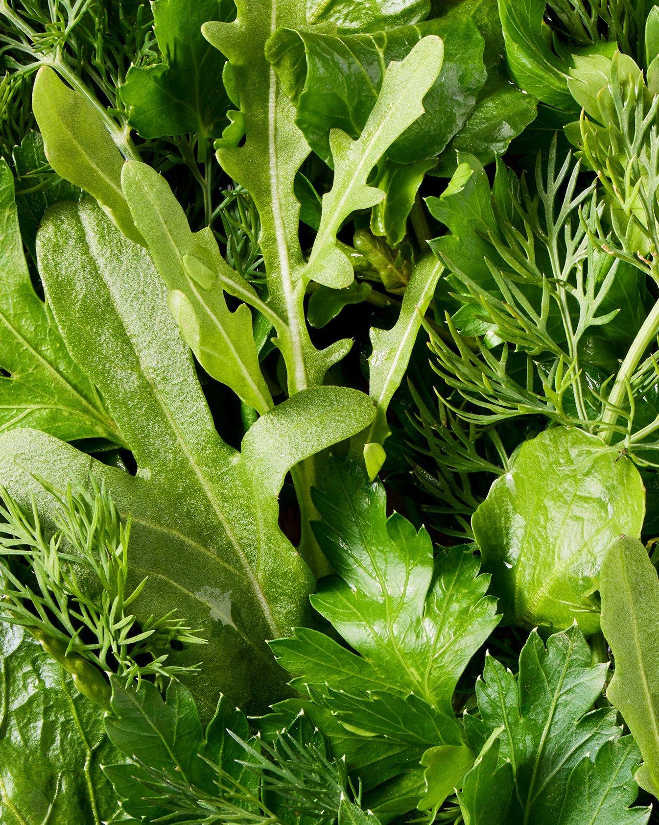 close up of some lettuce