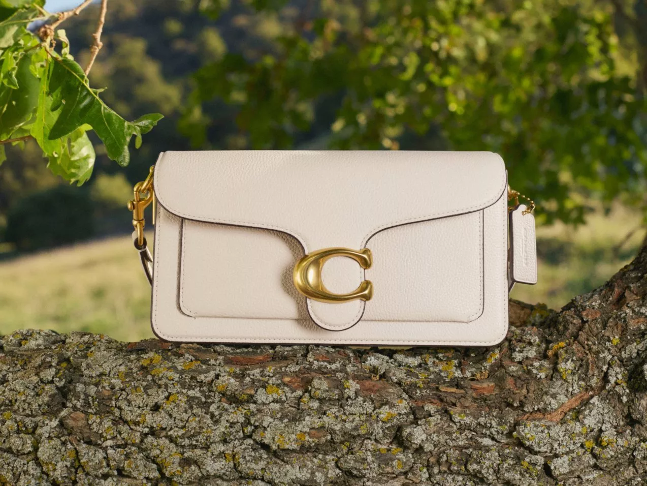 Cream leather shoulder bag with gold clasp, displayed on a tree trunk outdoors with green foliage background