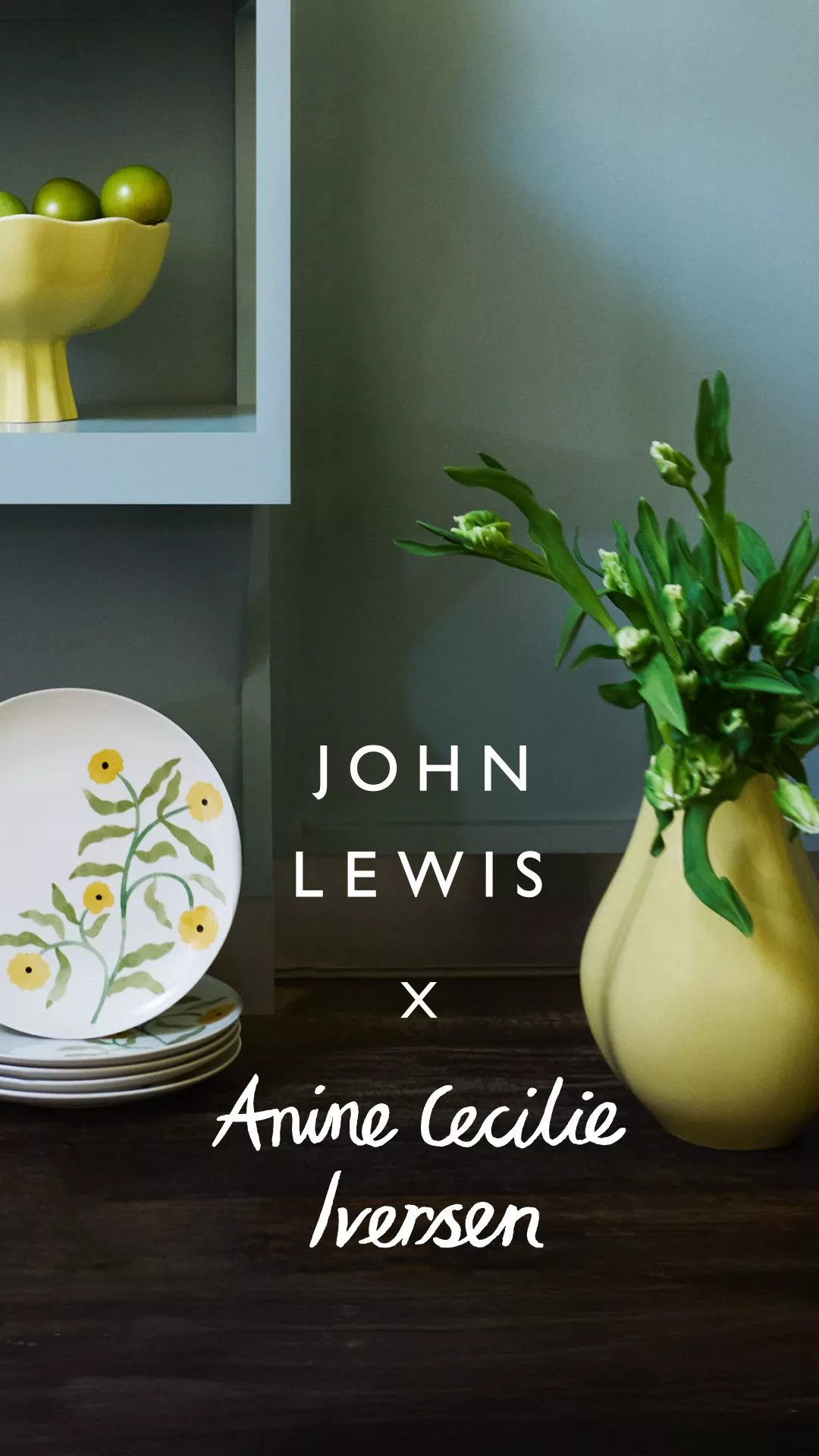  John Lewis X Anine Cecilie Iversen 