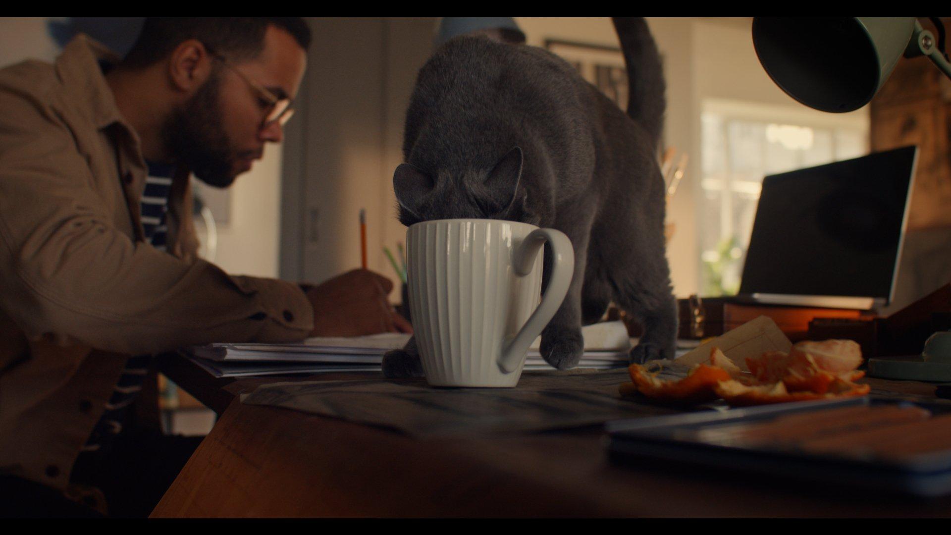 John Lewis & Partners - New Brand ANYDAY