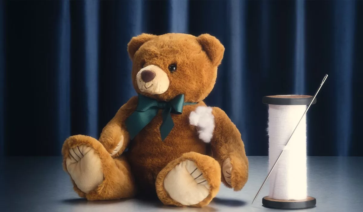 Teddy Bear Cleaning & Repairs