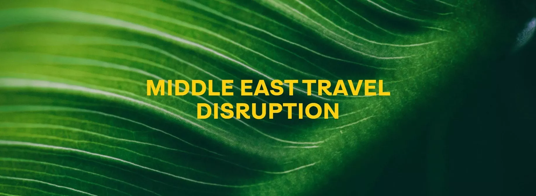 Middle East travel disruption text over a green leaf background, highlighting travel concerns.