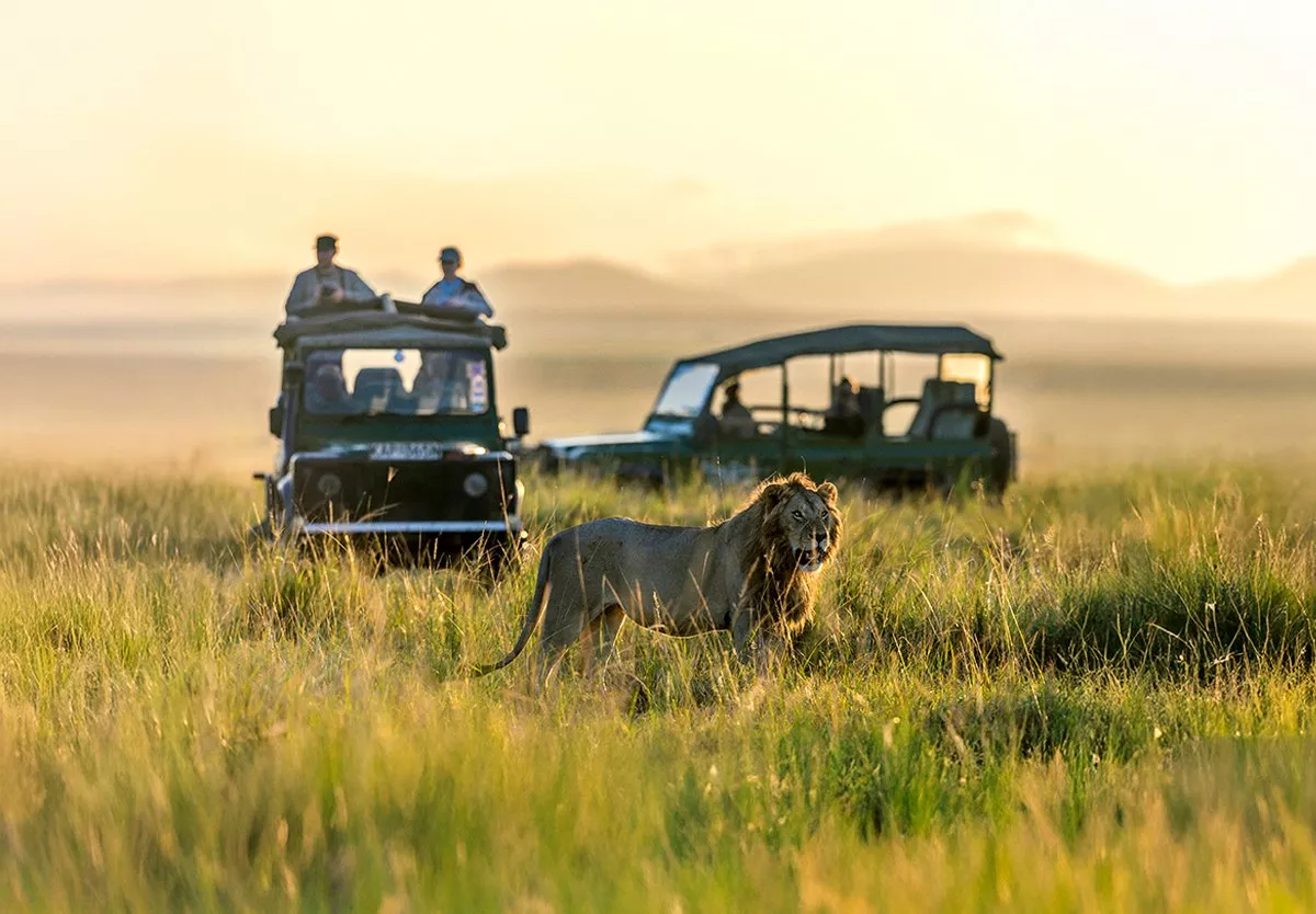 People on safari with a lion in the foreground 