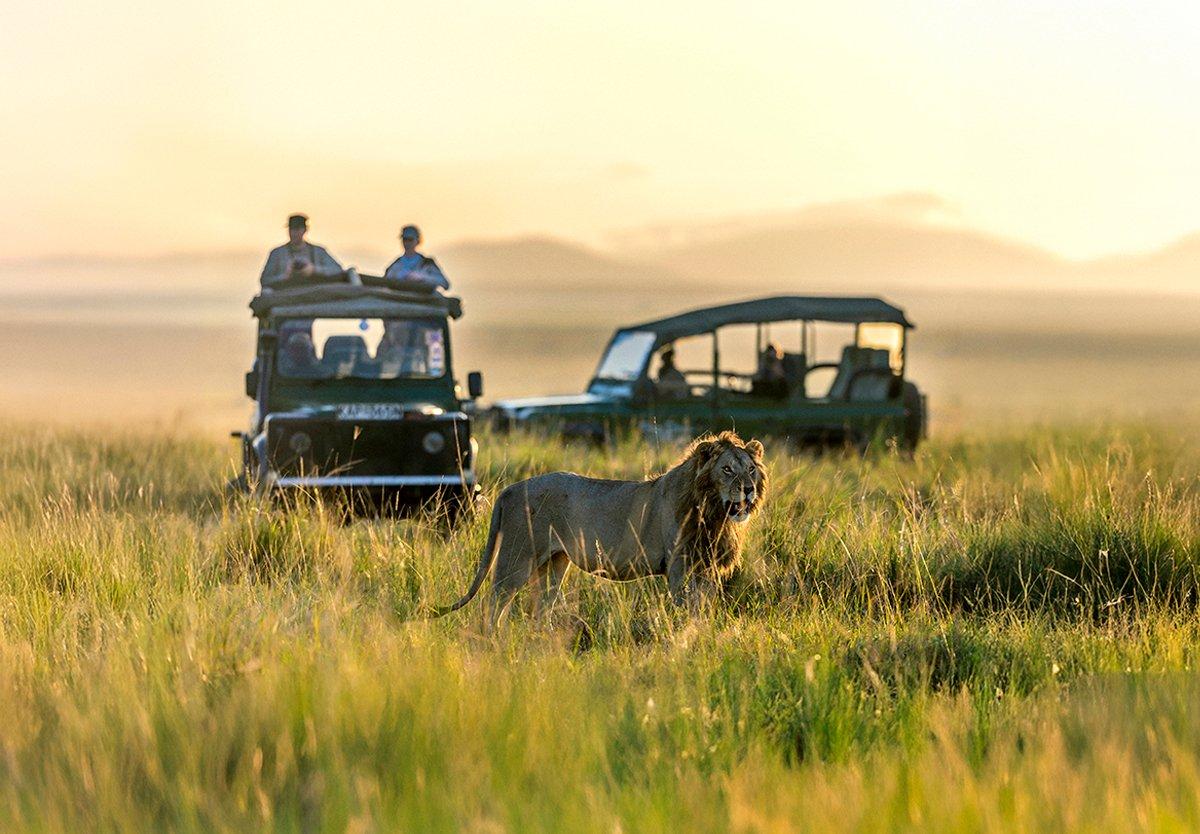 Kuoni safari image