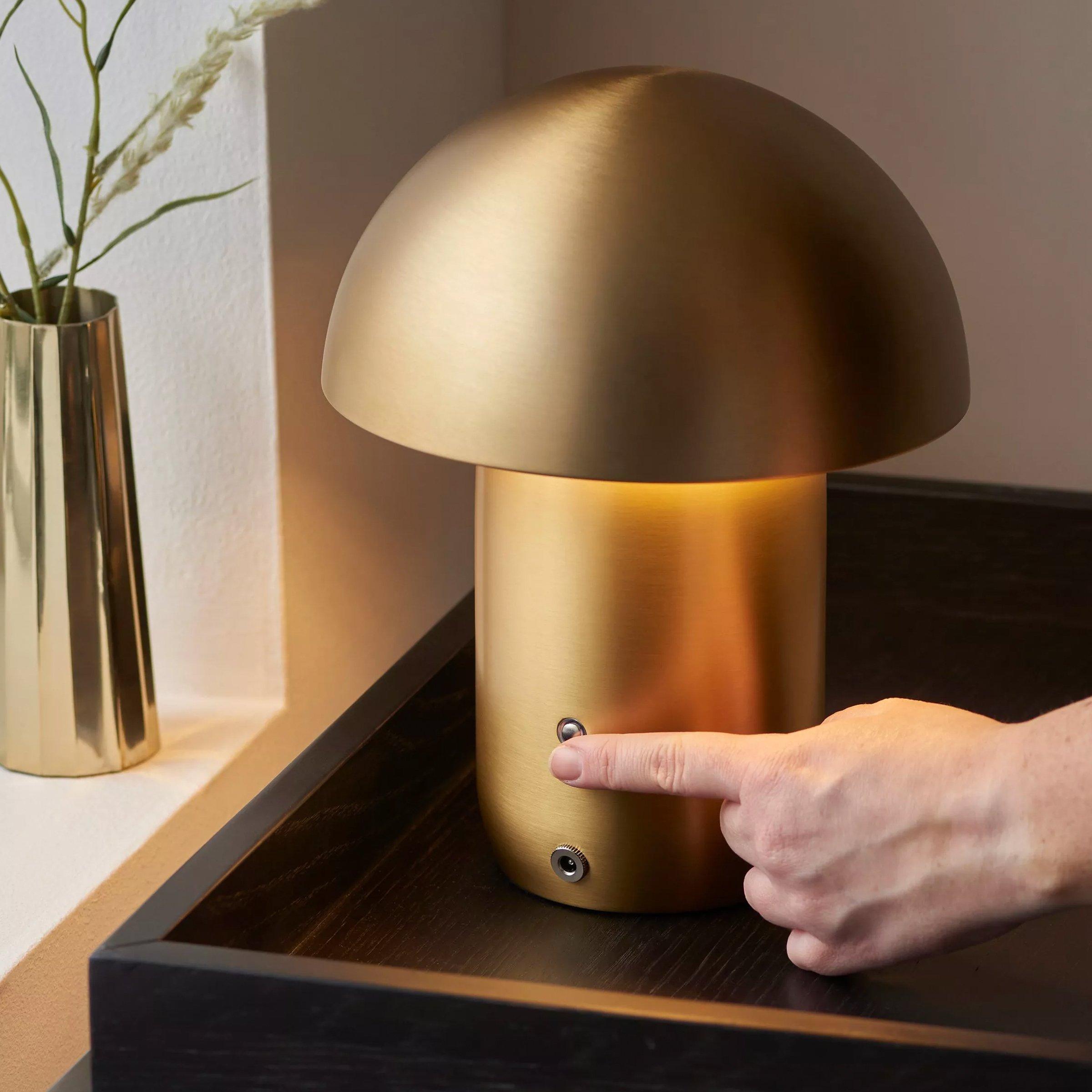 Dimmable Lights
