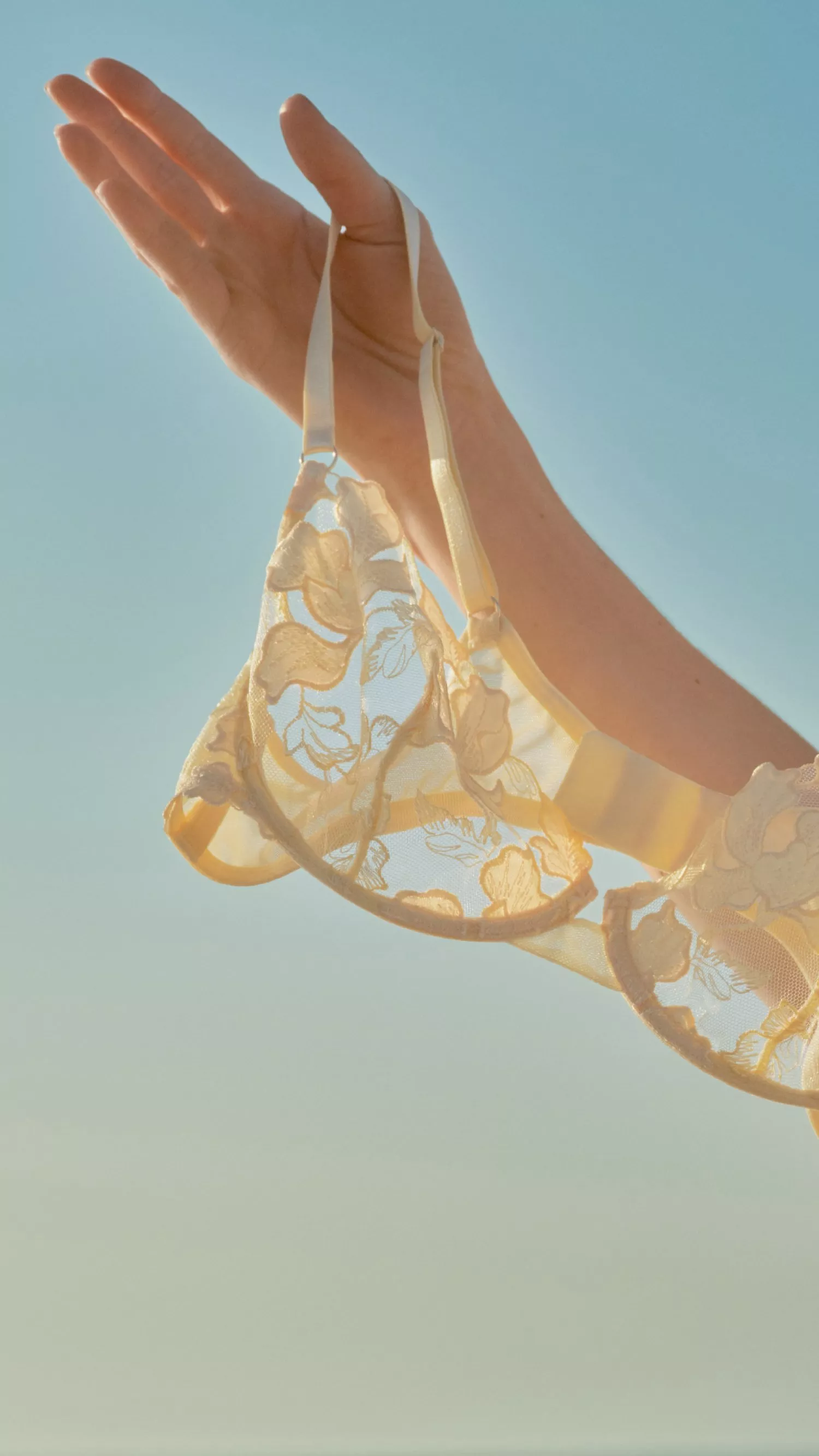 hands of a person holding up a summery bra up to the blue sky