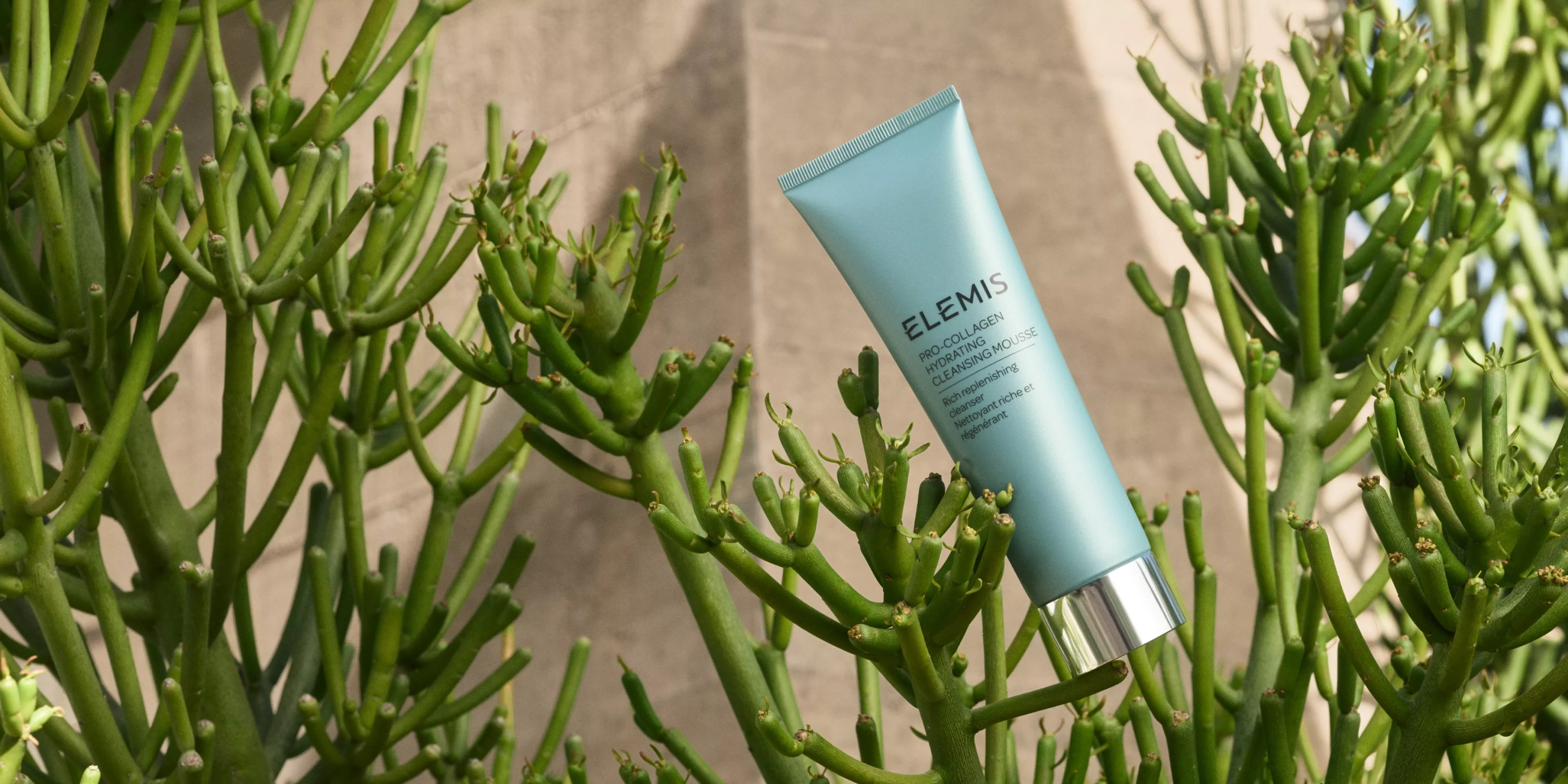 beauty product in the middle of cactus plant