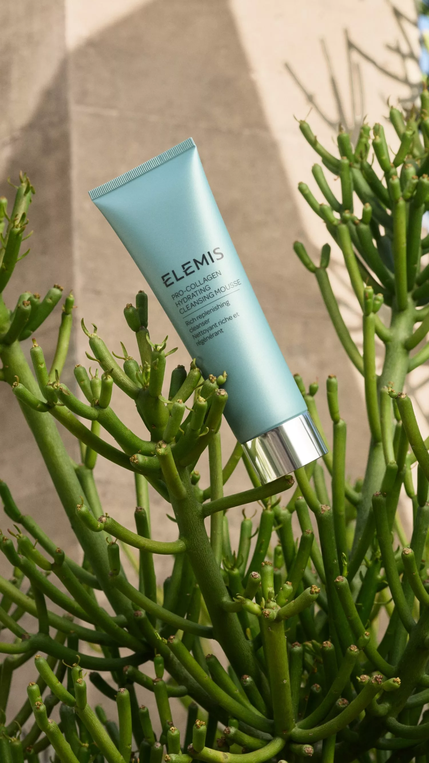 beauty product in the middle of cactus plant