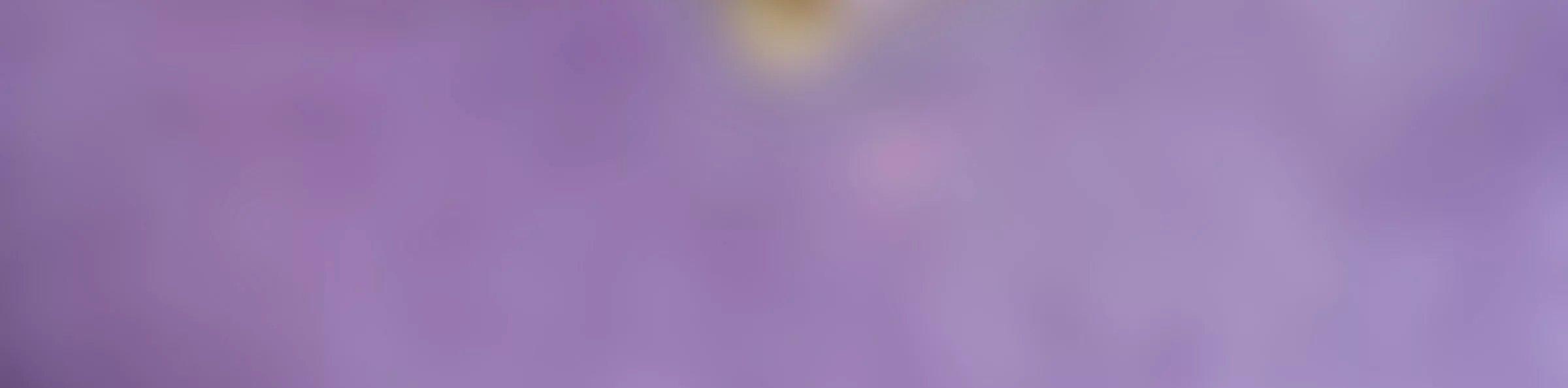 Blurred purple background image