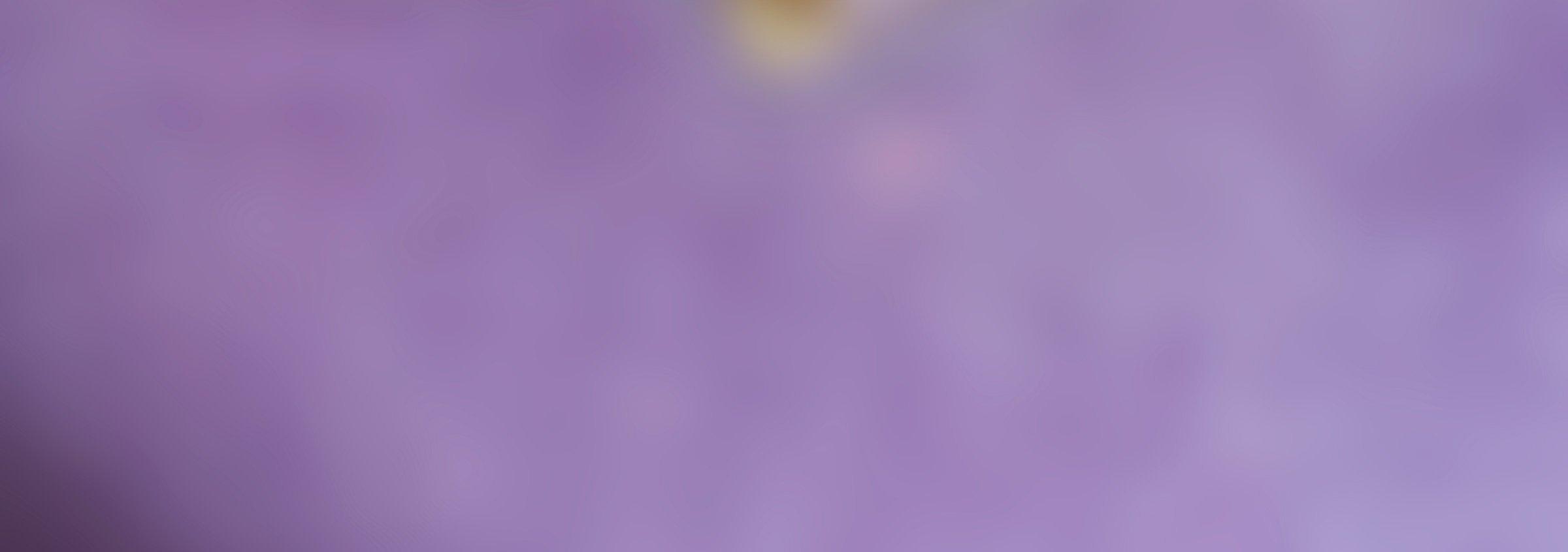 Blurred purple background image