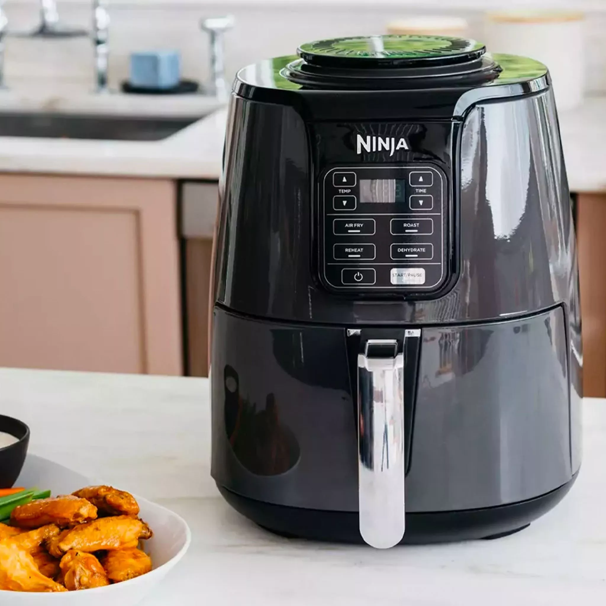 Ninja air fryer