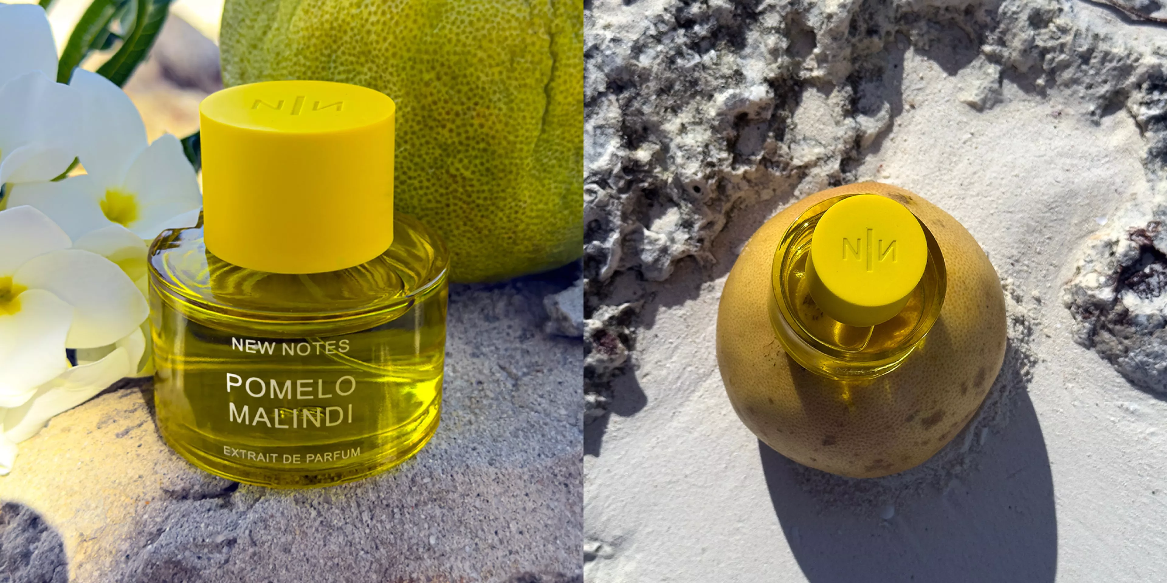 New Notes Pomelo Malindi extrait de parfum bottle with yellow cap beside citrus fruit and white flowers outdoors