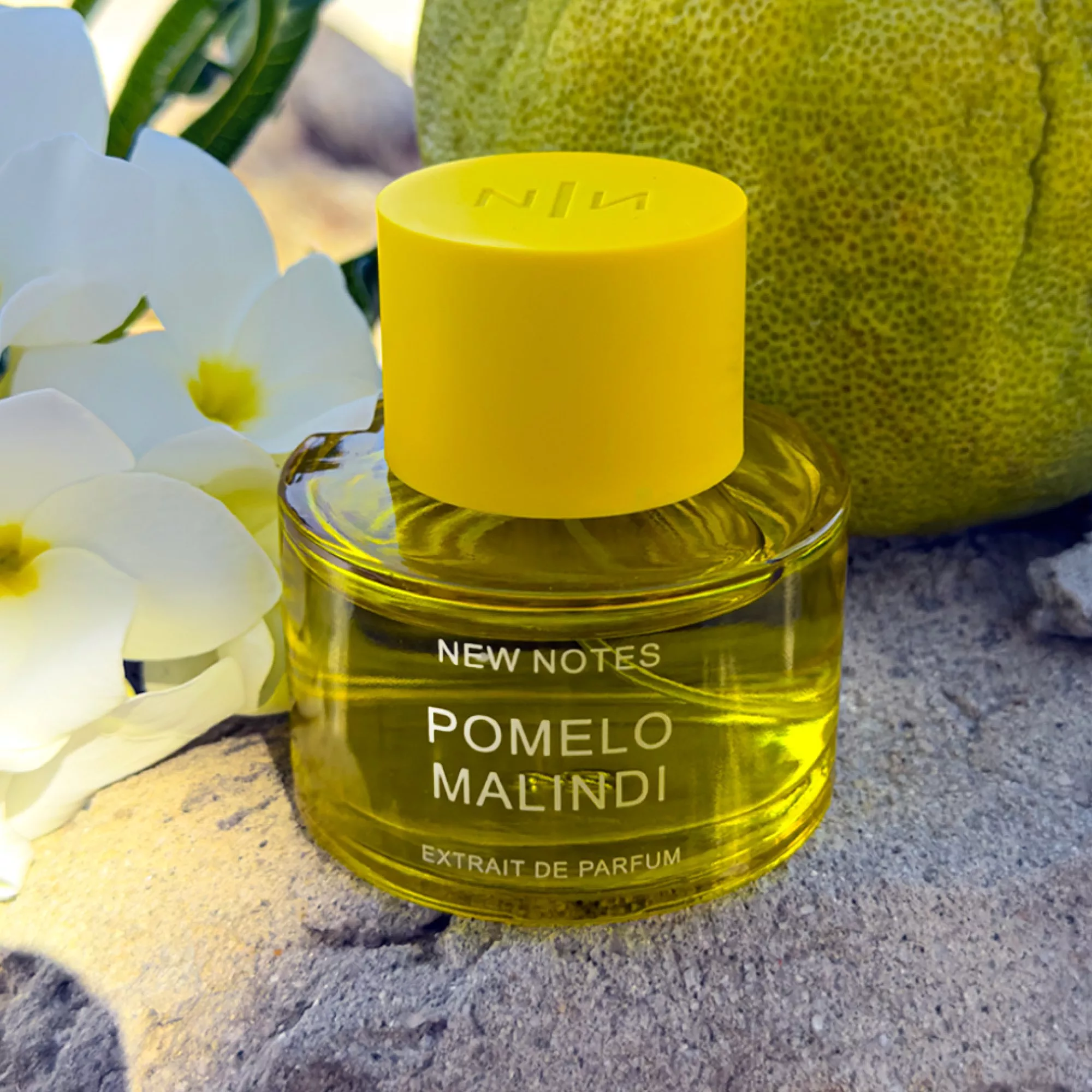 New Notes Pomelo Malindi extrait de parfum bottle with yellow cap, beside pomelo fruit and white flowers