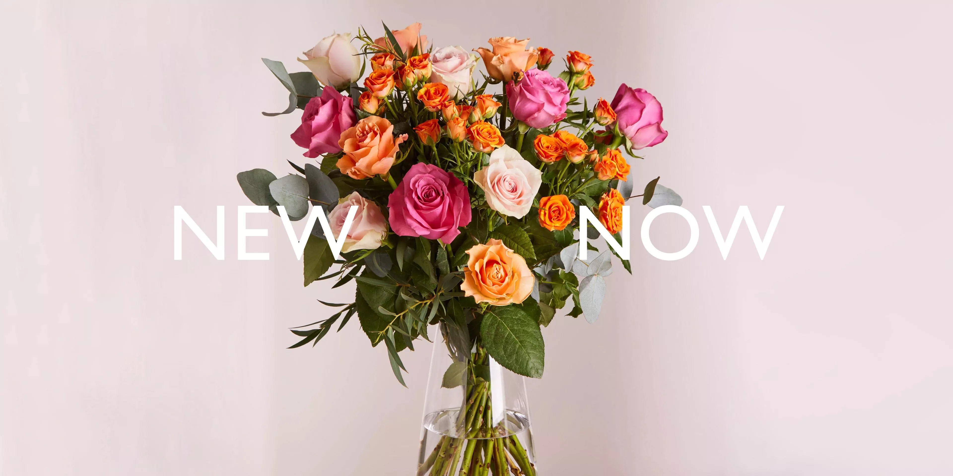 A vibrant bouquet of pink, orange, and peach roses in a clear vase, set against a soft pink background.