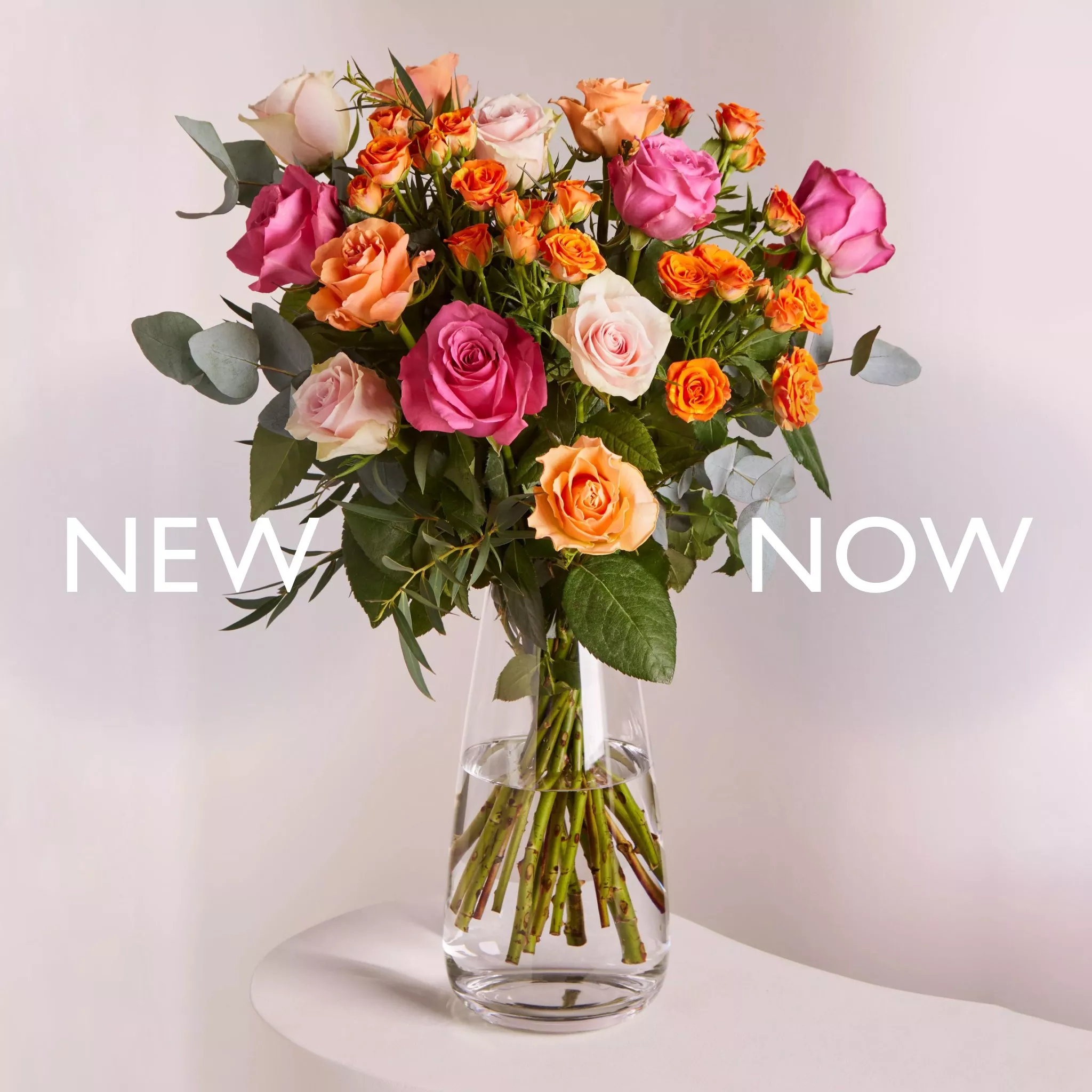 A vibrant bouquet of pink, orange, and white roses in a clear vase, with "New Now" text overlay.