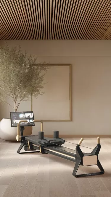 Modern home gym with Pilates reformer, neutral decor, plants and large window in a bright minimalist room