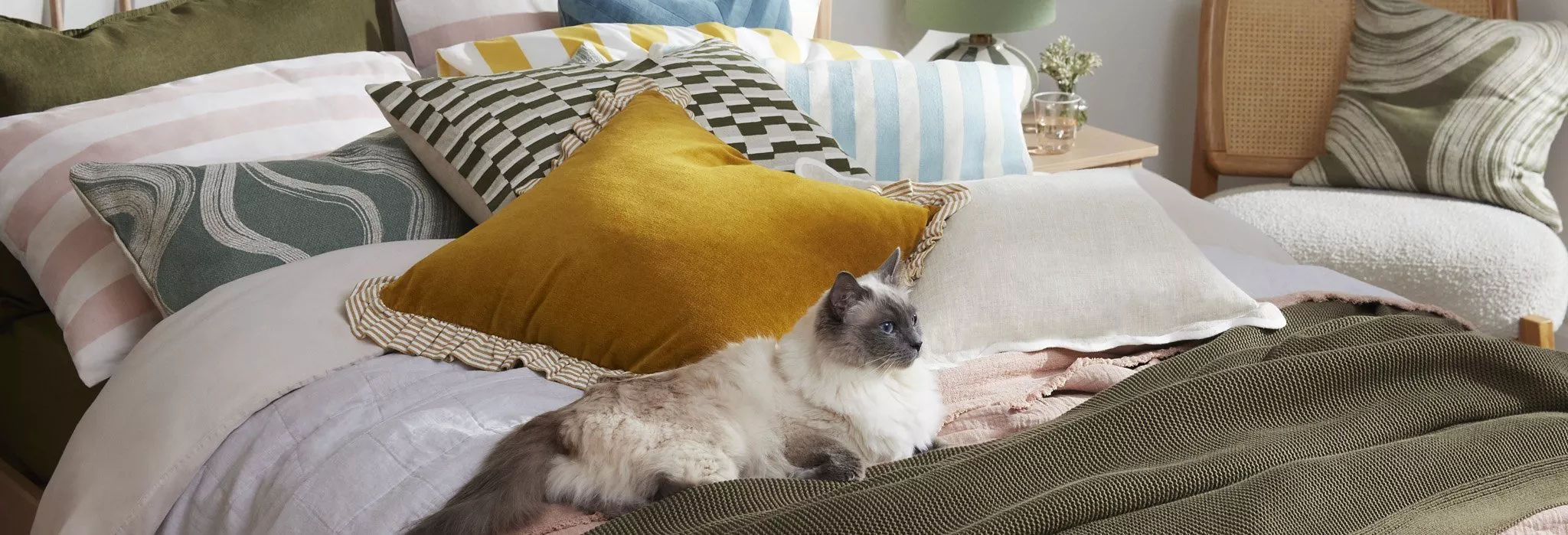 lifestyle shot of a cat sitting on a cozy bed