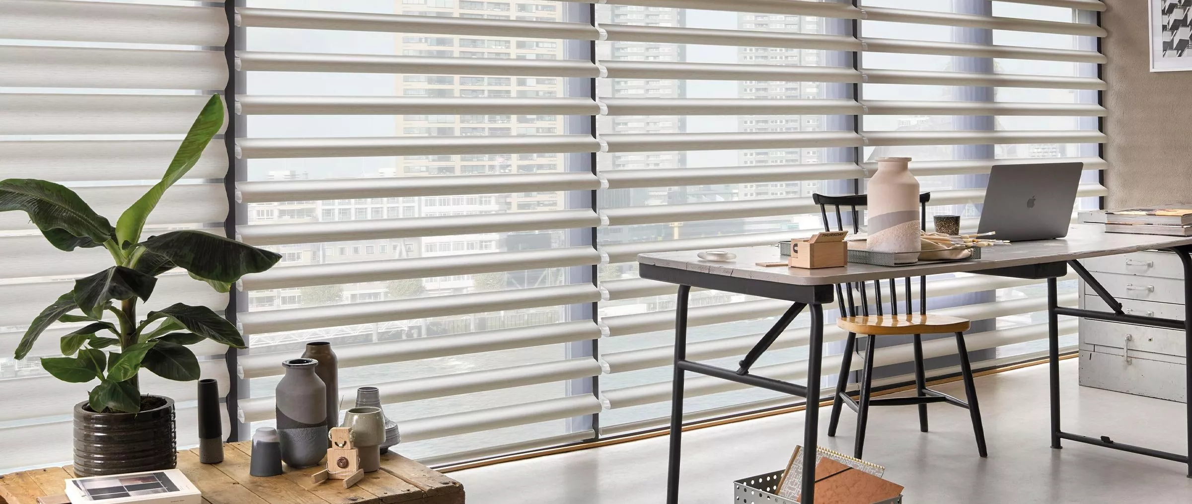 Office setting with a plant in front of floor length white shutters