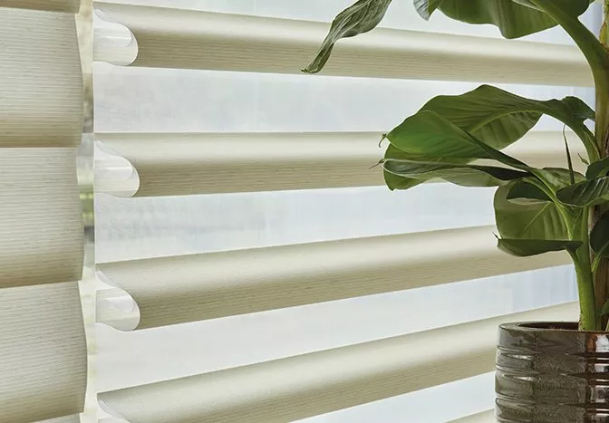 Cream blinds on a window with a plant next to it