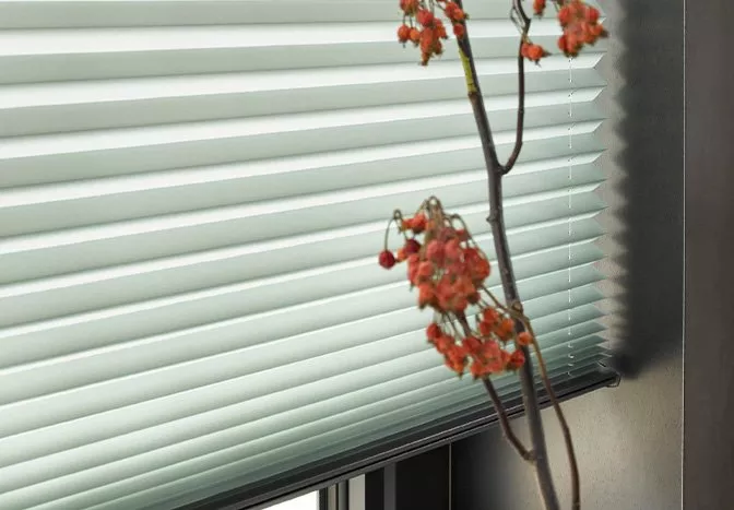 White blinds with red plant in the foreground
