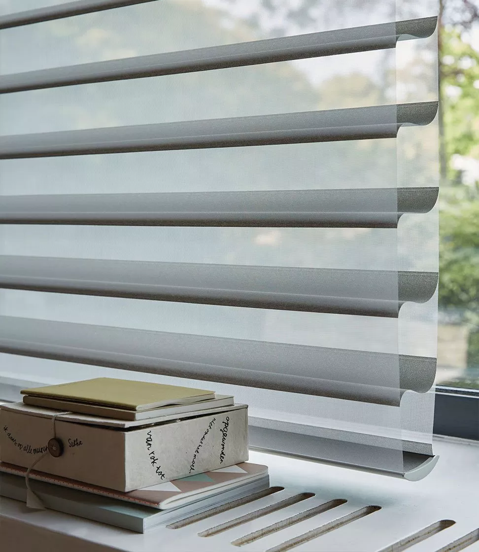 Neutral blinds on a window with books on the windowsill 