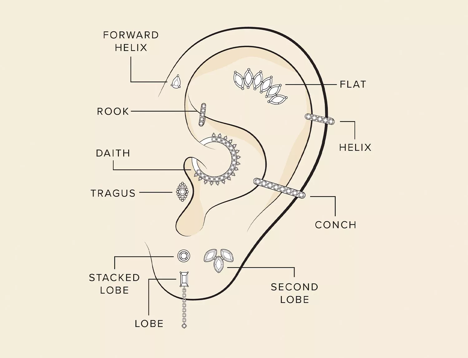 ear piercing diagram showcasing piercing placements