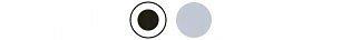 Galaxy S21 Ultra 5G Colours- Black/Silver