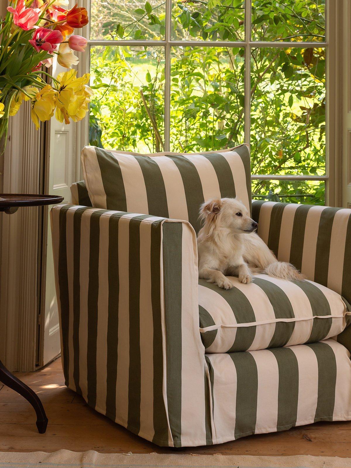 White dog sat on green and white striped armchair