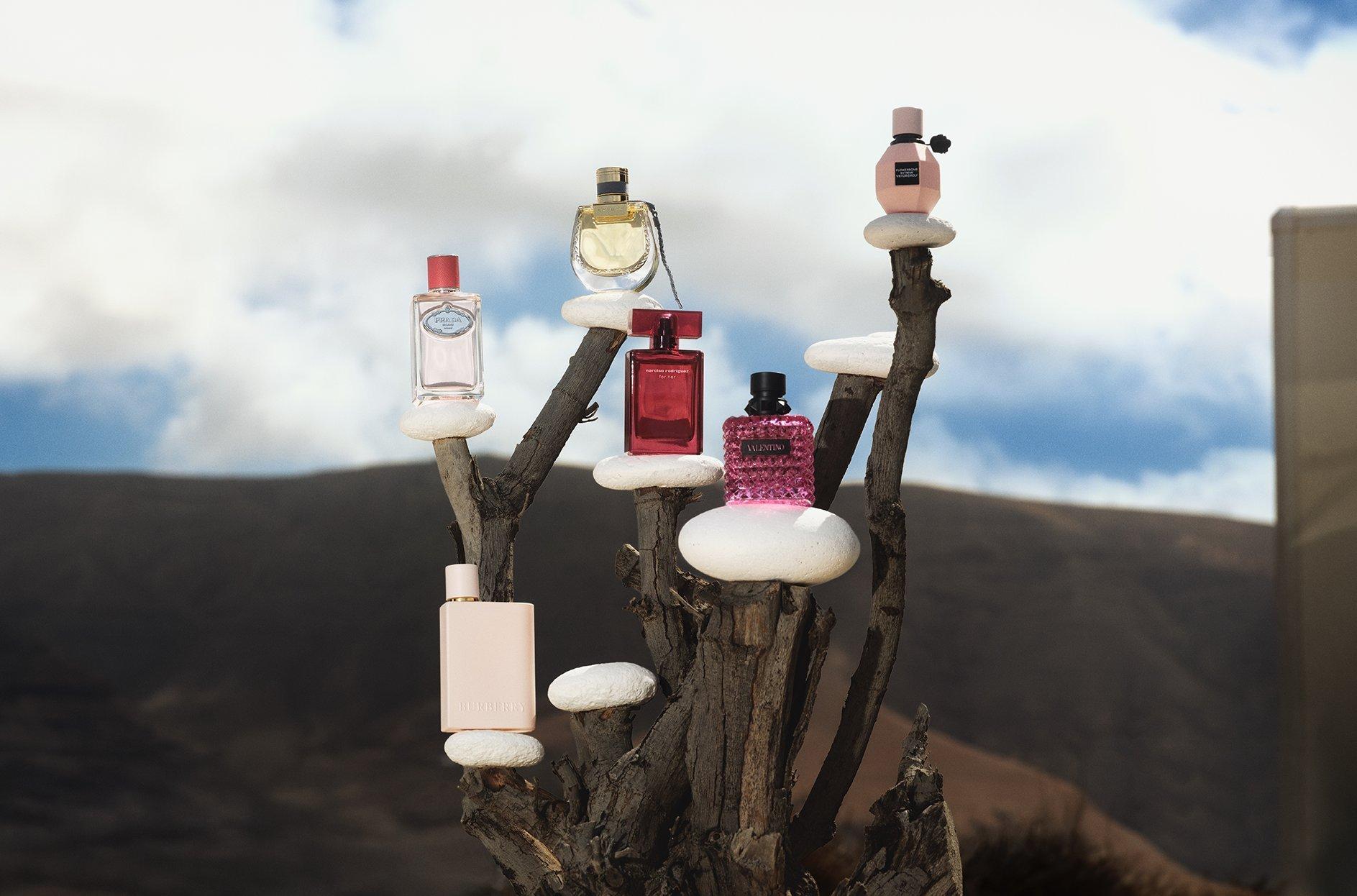 perfume bottles balancing on rocks and the rocks are balancing on tree branches