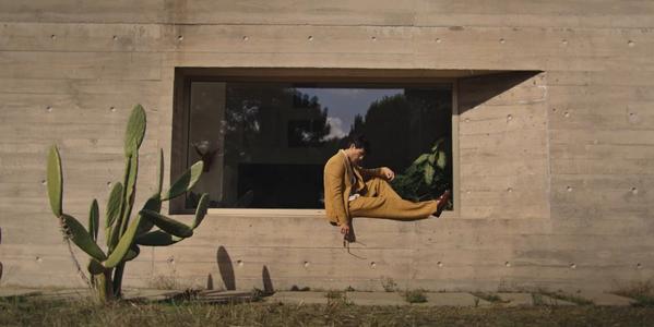 A person in a brown outfit sits on a concrete window ledge, beside a cactus plant in a minimalist setting.